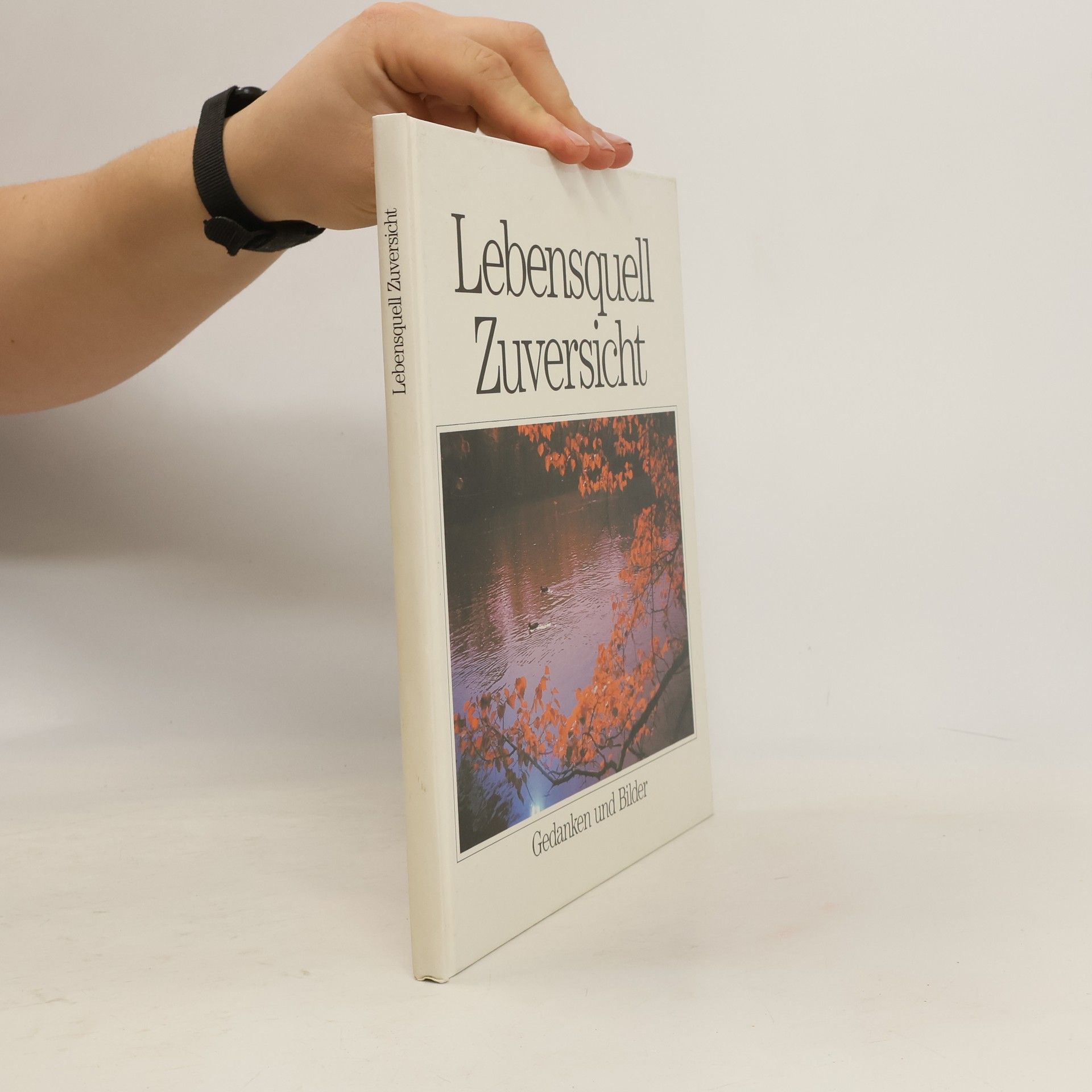 Kolektív autorov Lebensquell Zuversicht