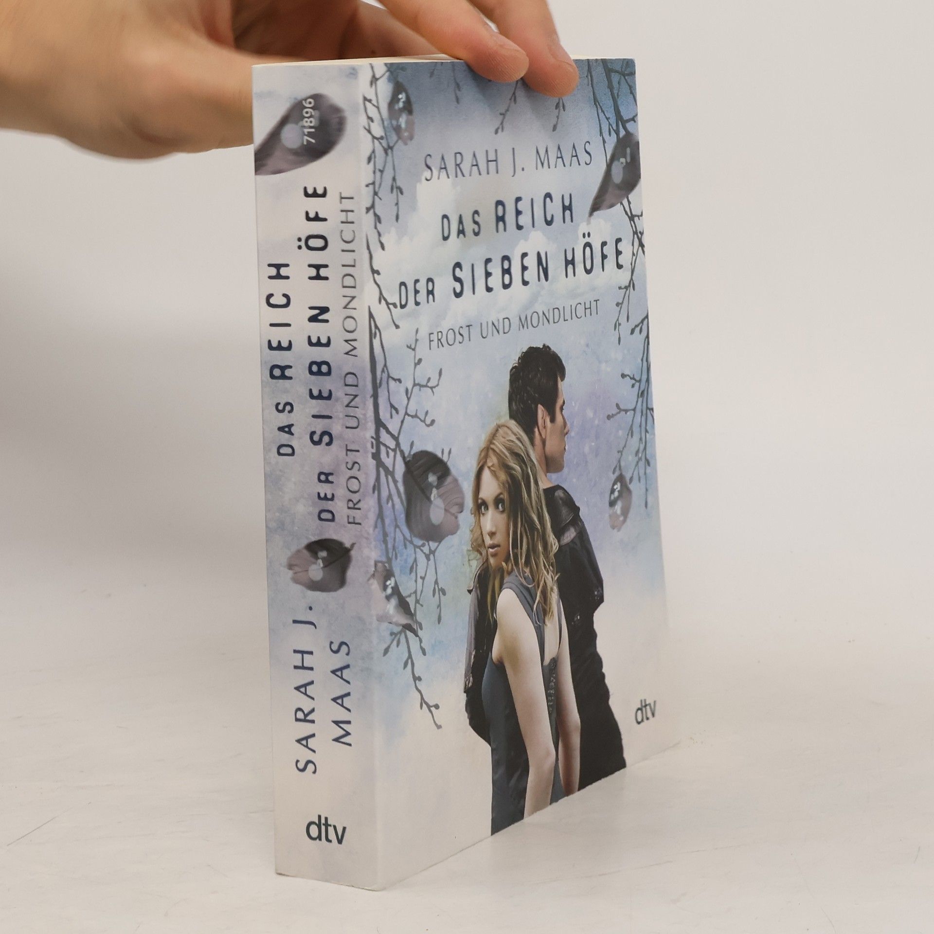 Sarah J. Maas Das Reich der Sieben Höfe: Frost und Mondlicht