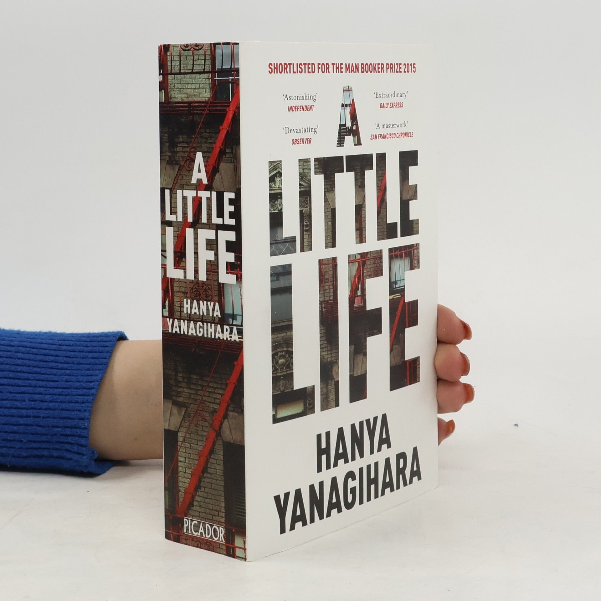 Hanya Yanagihara A Little Life
