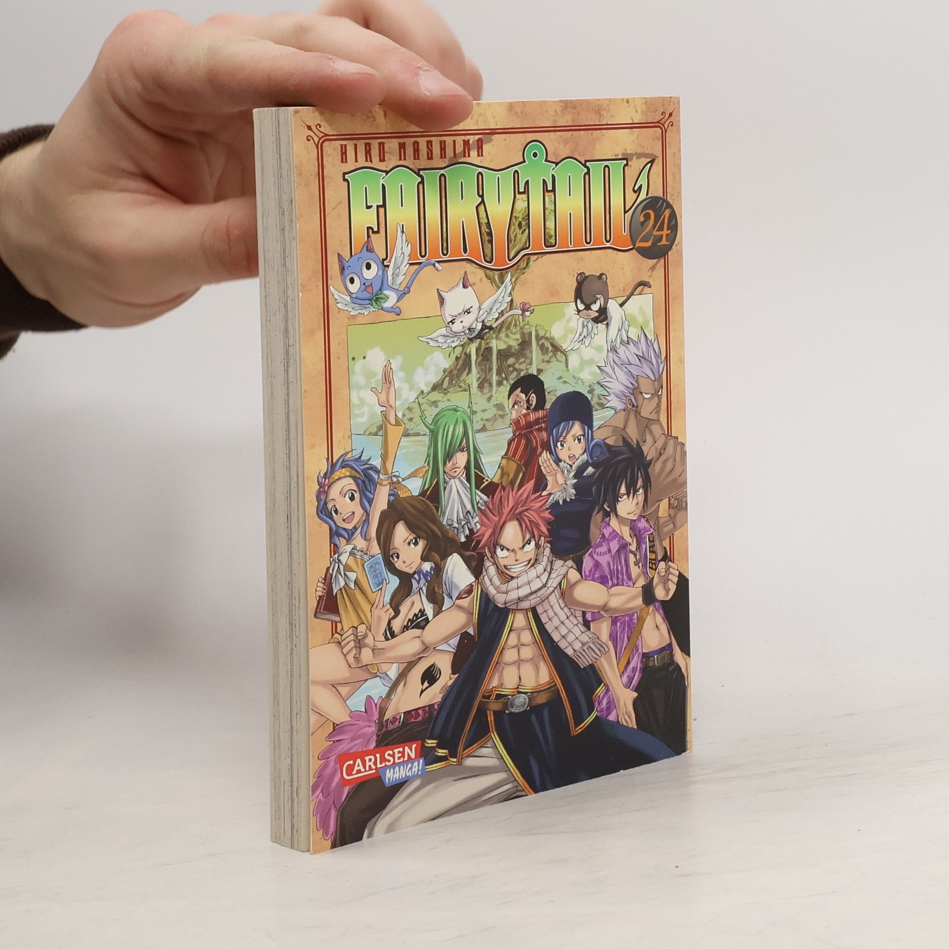 Hiro M. Fairy Tail 24