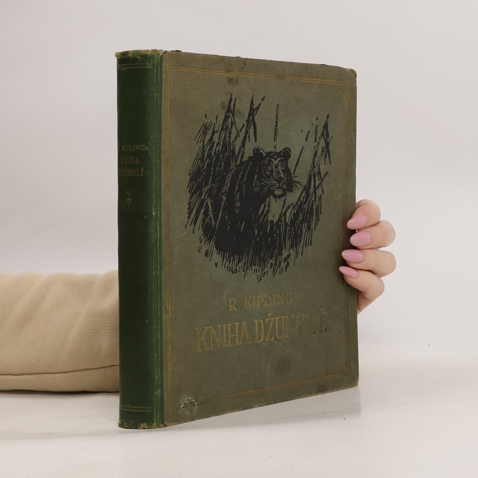 R. Kipling kniha džunglí