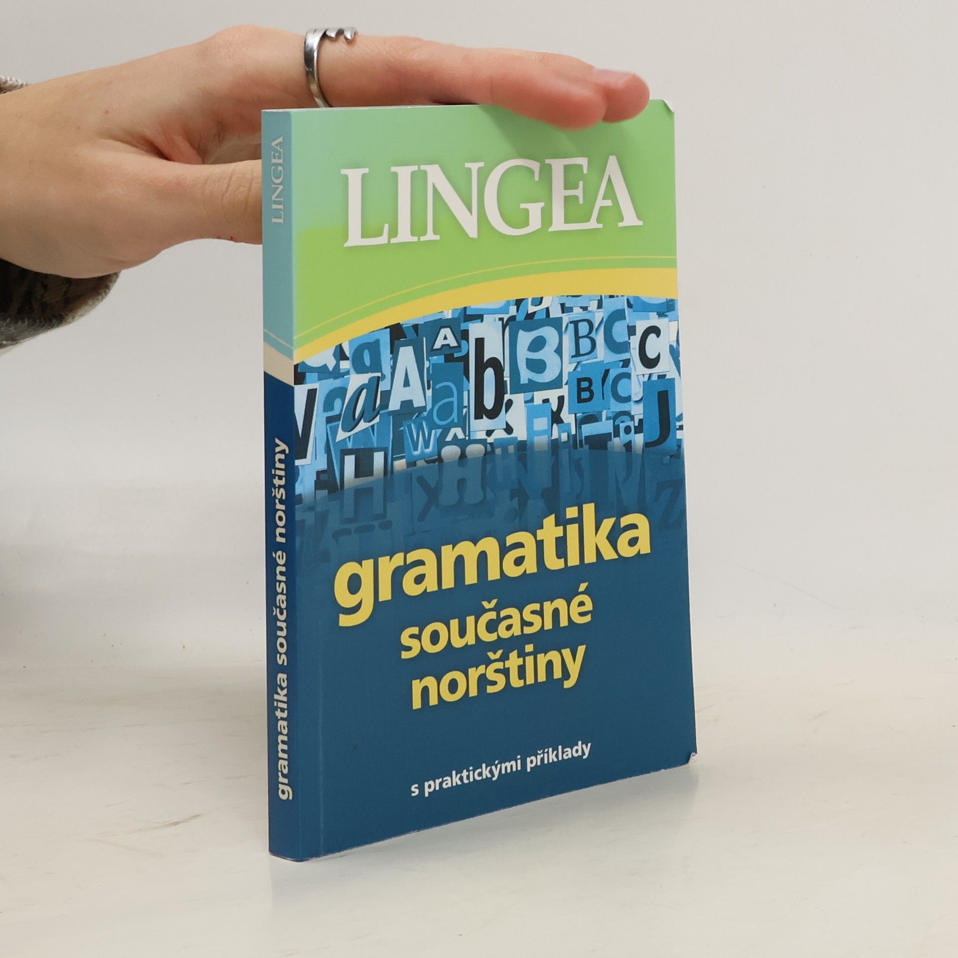 Kolektív autorov Gramatika současné norštiny