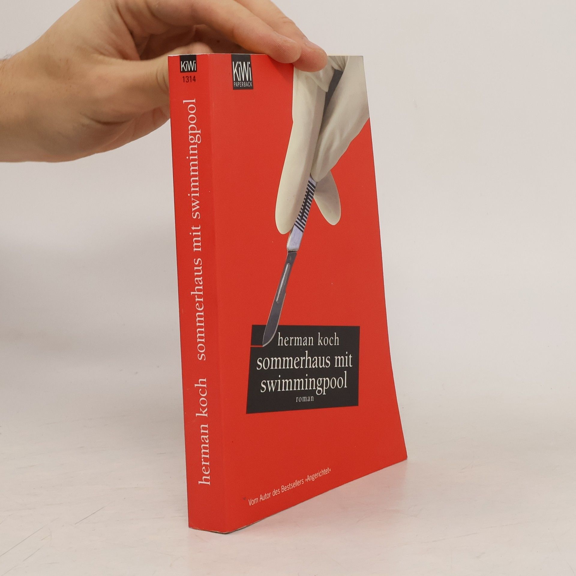 Herman Koch Sommerhaus mit Swimmingpool