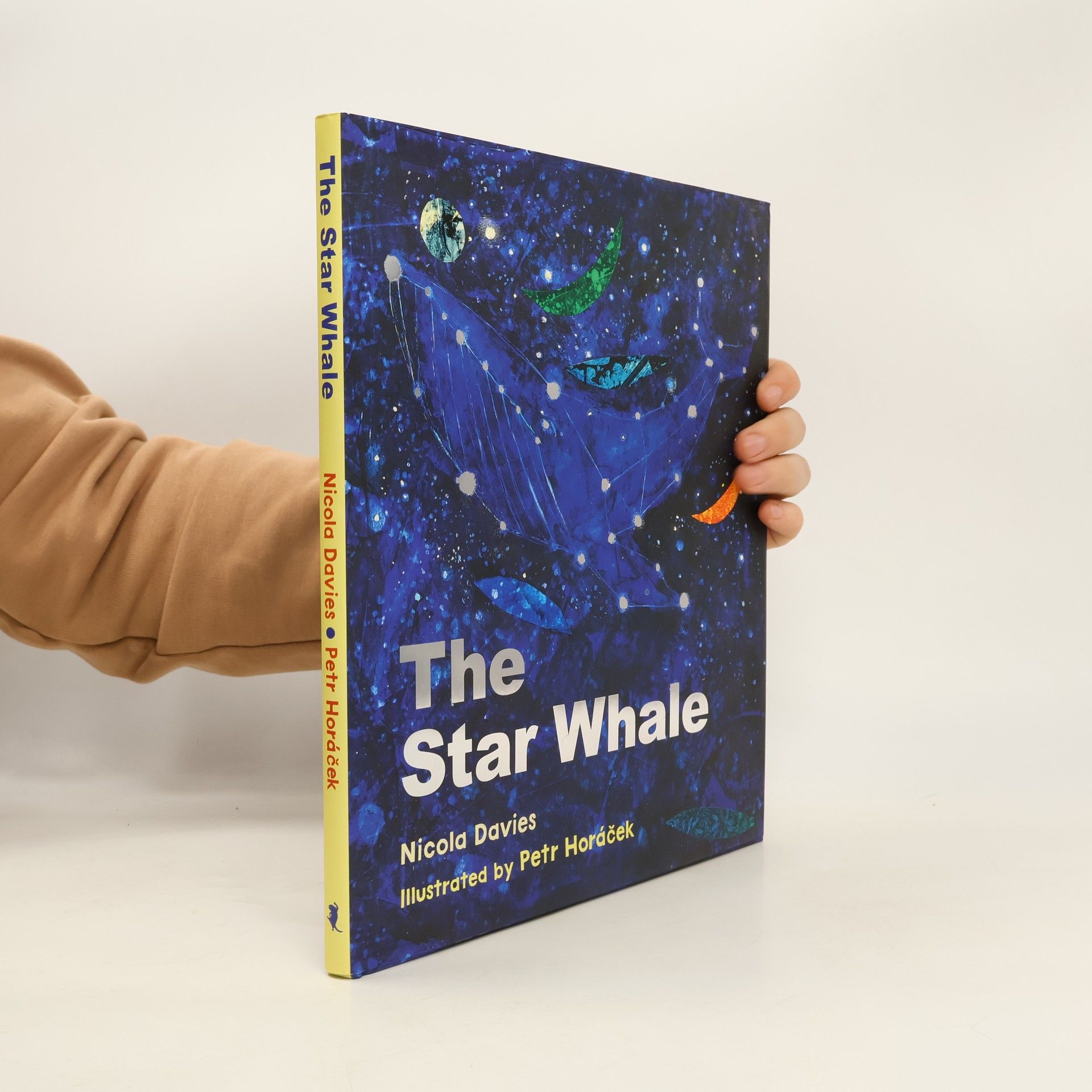 Nicola Davies The Star Whale