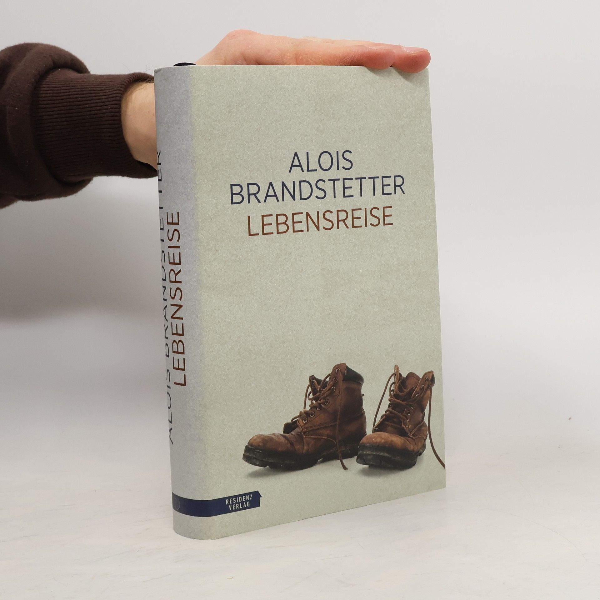 Lebensreise : Wallfahrt, oder Werdegang und Lebenslauf