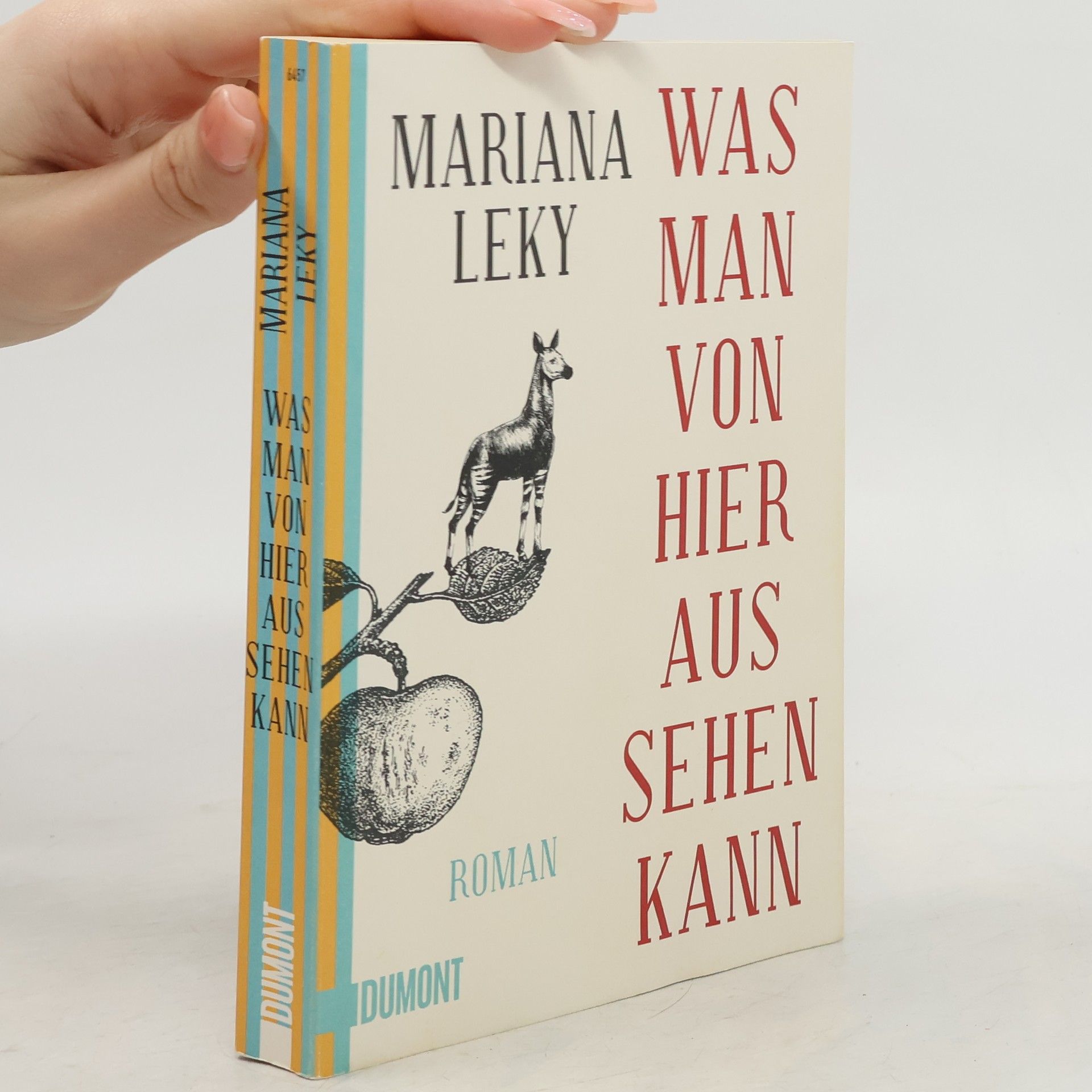 Mariana Leky Was man von hier aus sehen kann