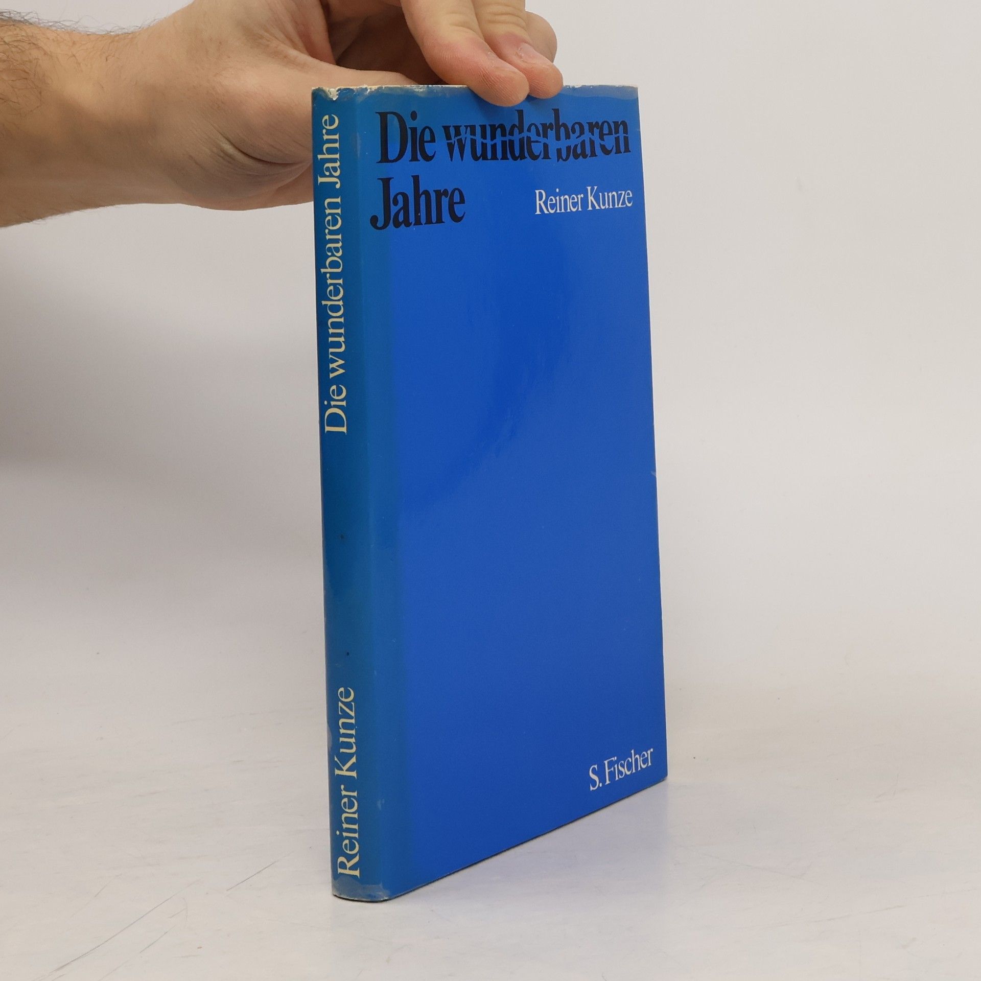 Reiner Kunze Die wunderbaren Jahre