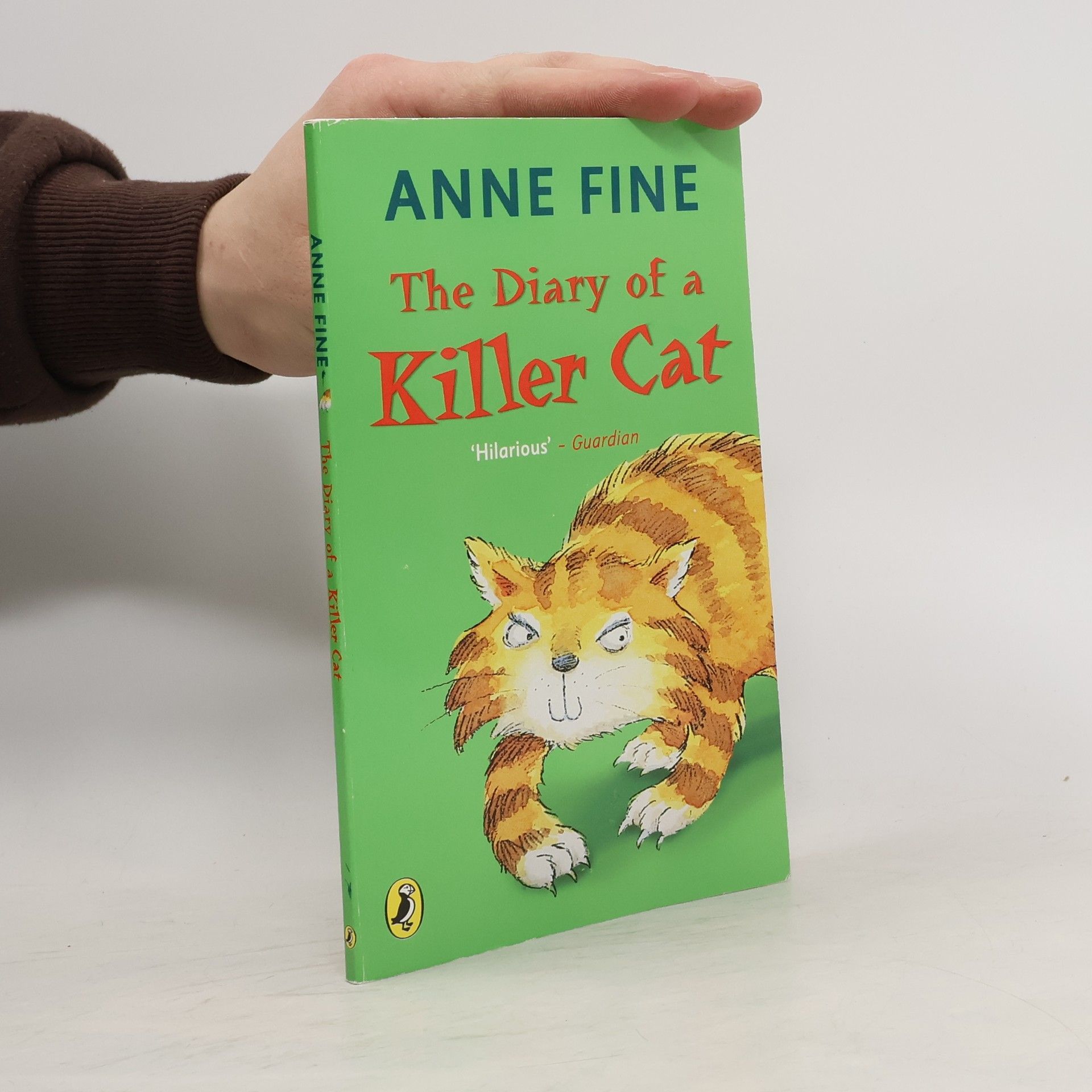 Anne Fine Diary of a Killer Cat