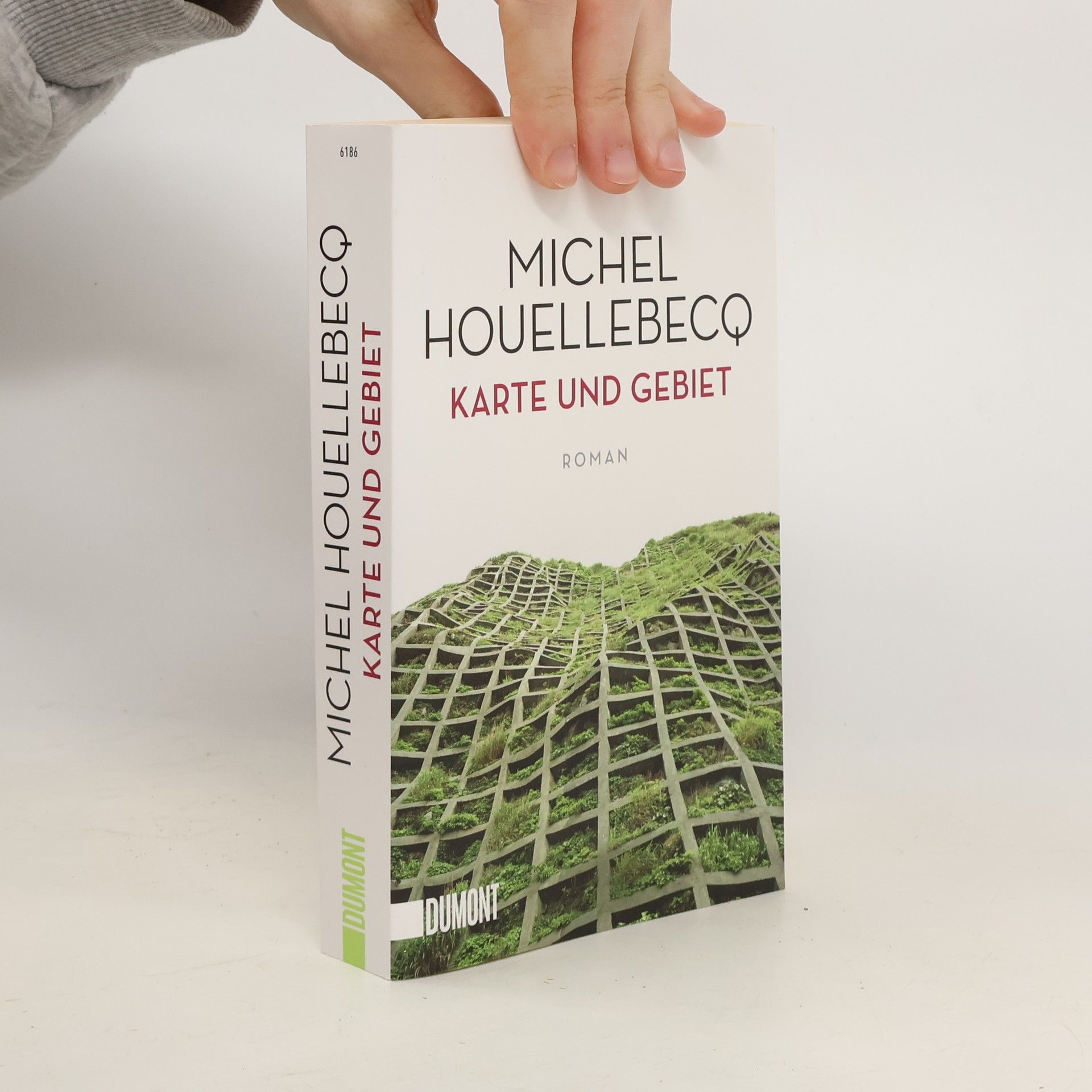 Michel Houellebecq Karte und Gebiet