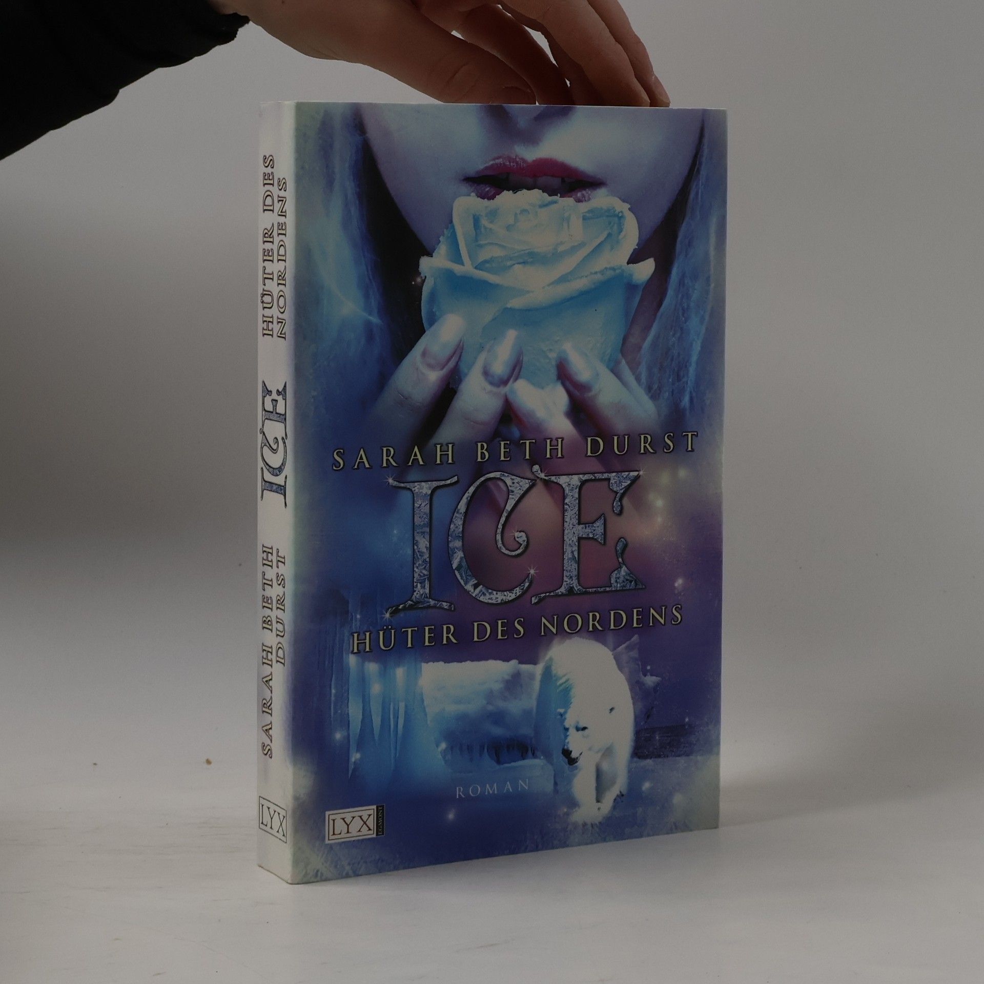 Sarah Beth Durst Ice - Hüter des Nordens