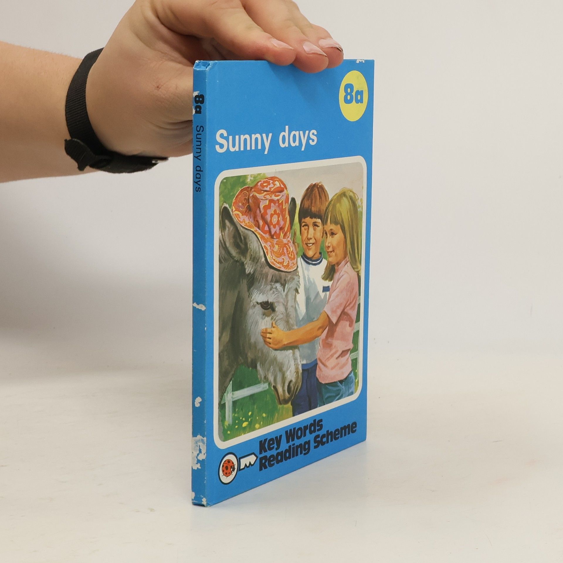 Kolektív autorov Sunny Days