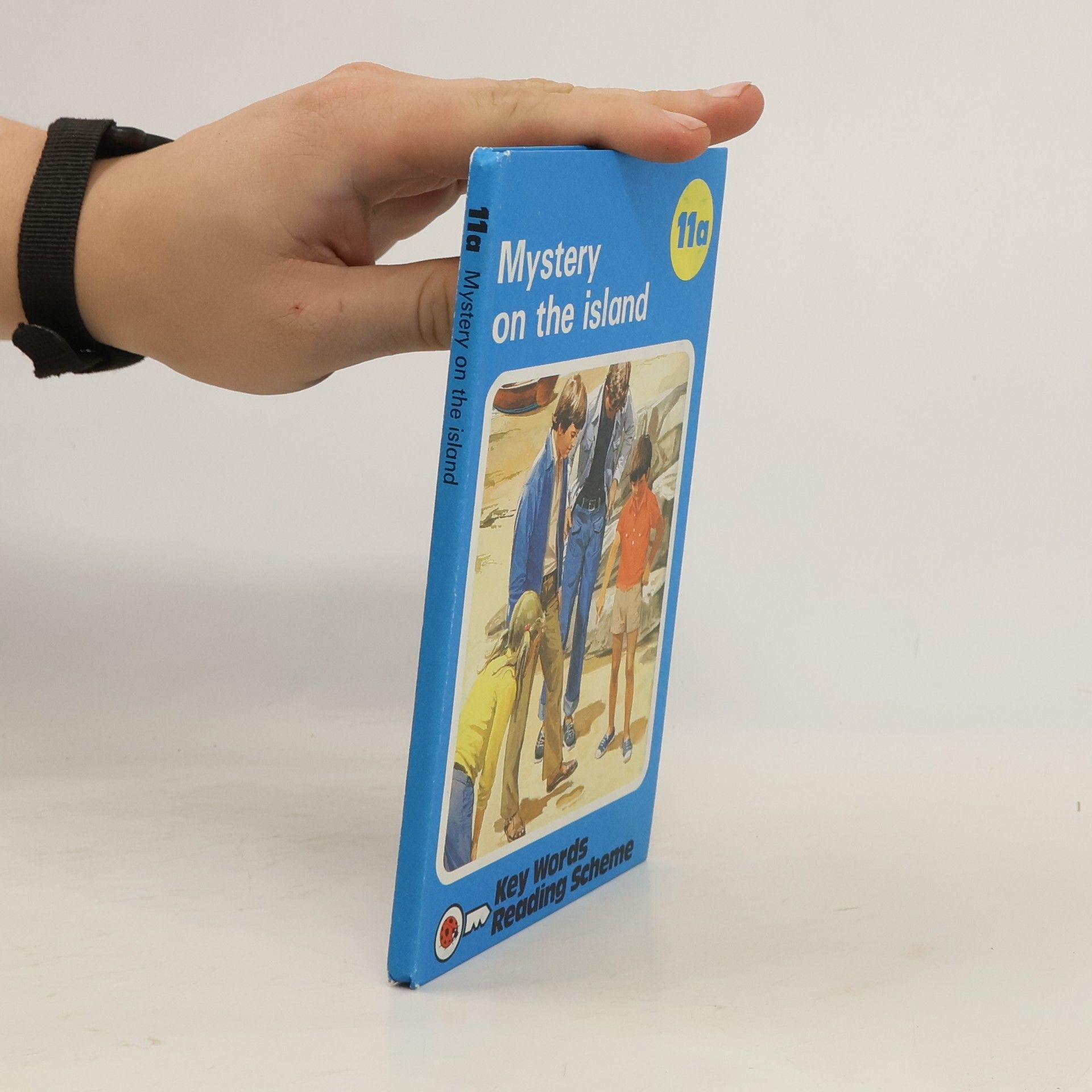 Mastery on the island 11a