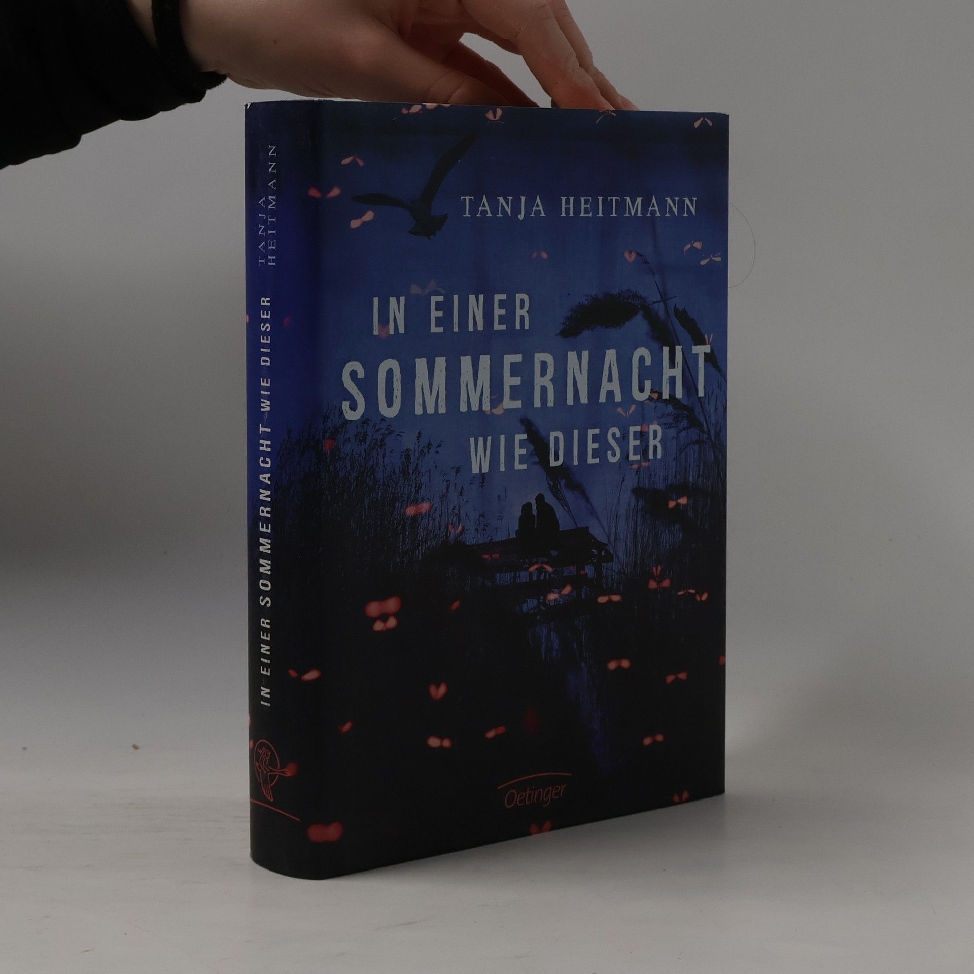 Tanja Heitmann In einer Sommernacht wie dieser