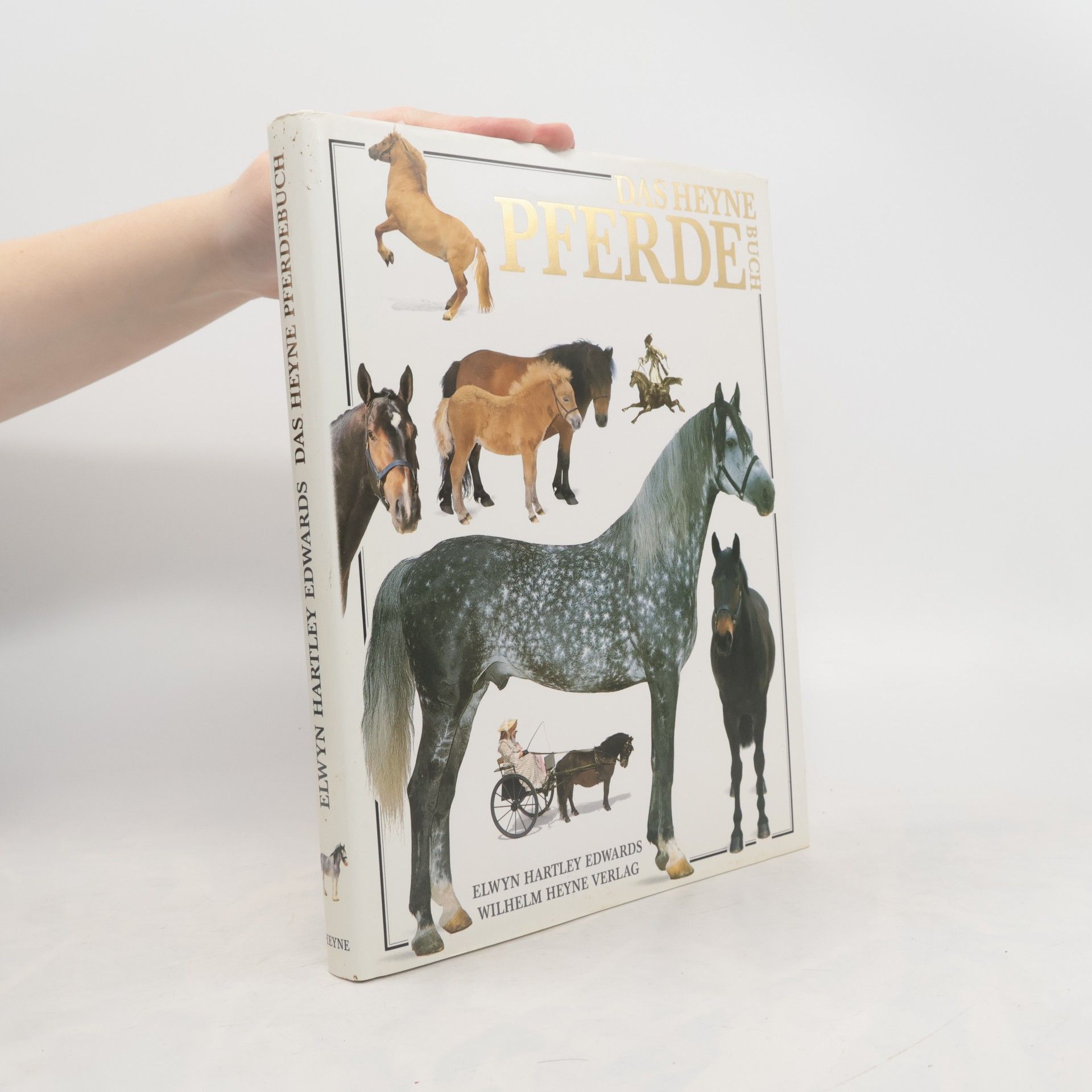 Elwyn Hartley Edwards Das Heyne-Pferde-Buch