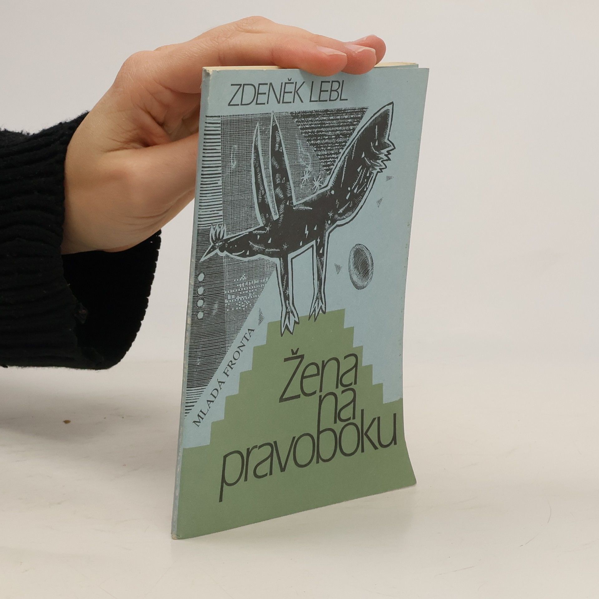 Kolektív autorov Žena na pravoboku