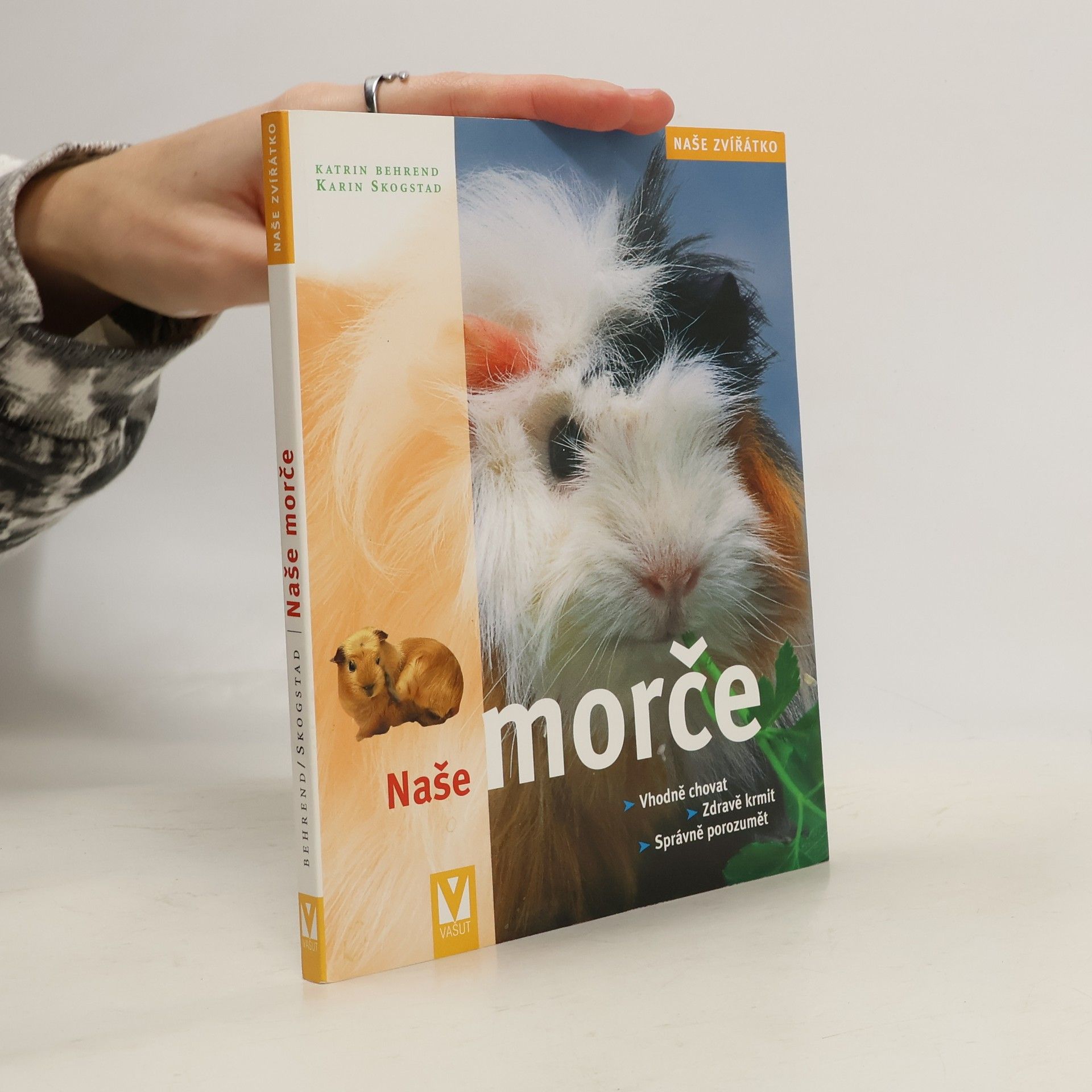Katrin Behrend Naše morče: Vhodná péče, zdravá strava, správné porozumění