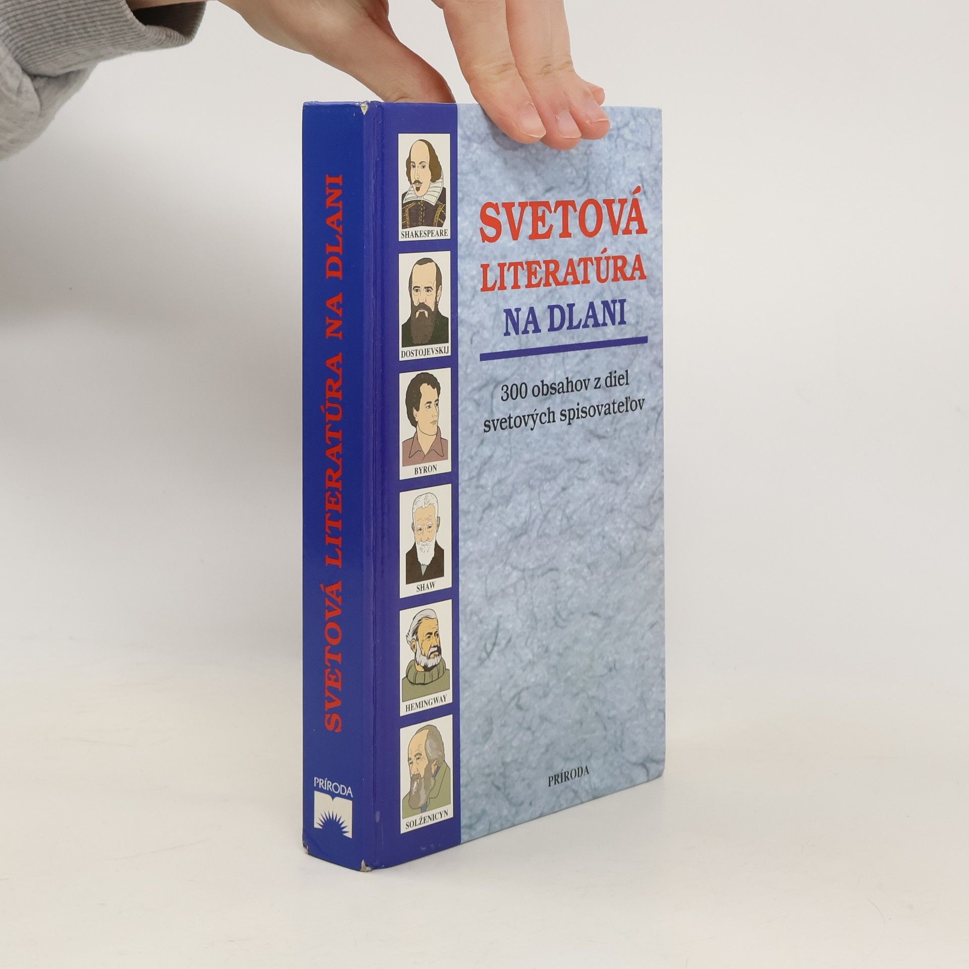 Autorenkollektiv Svetová literatúra