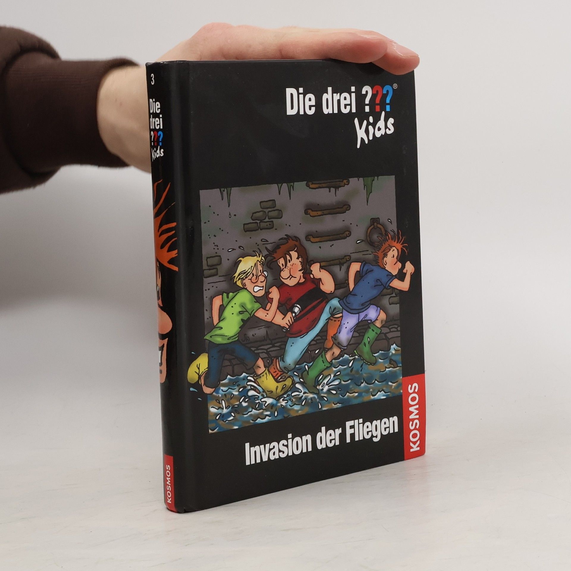 Ulf Blanck Invasion der Fliegen