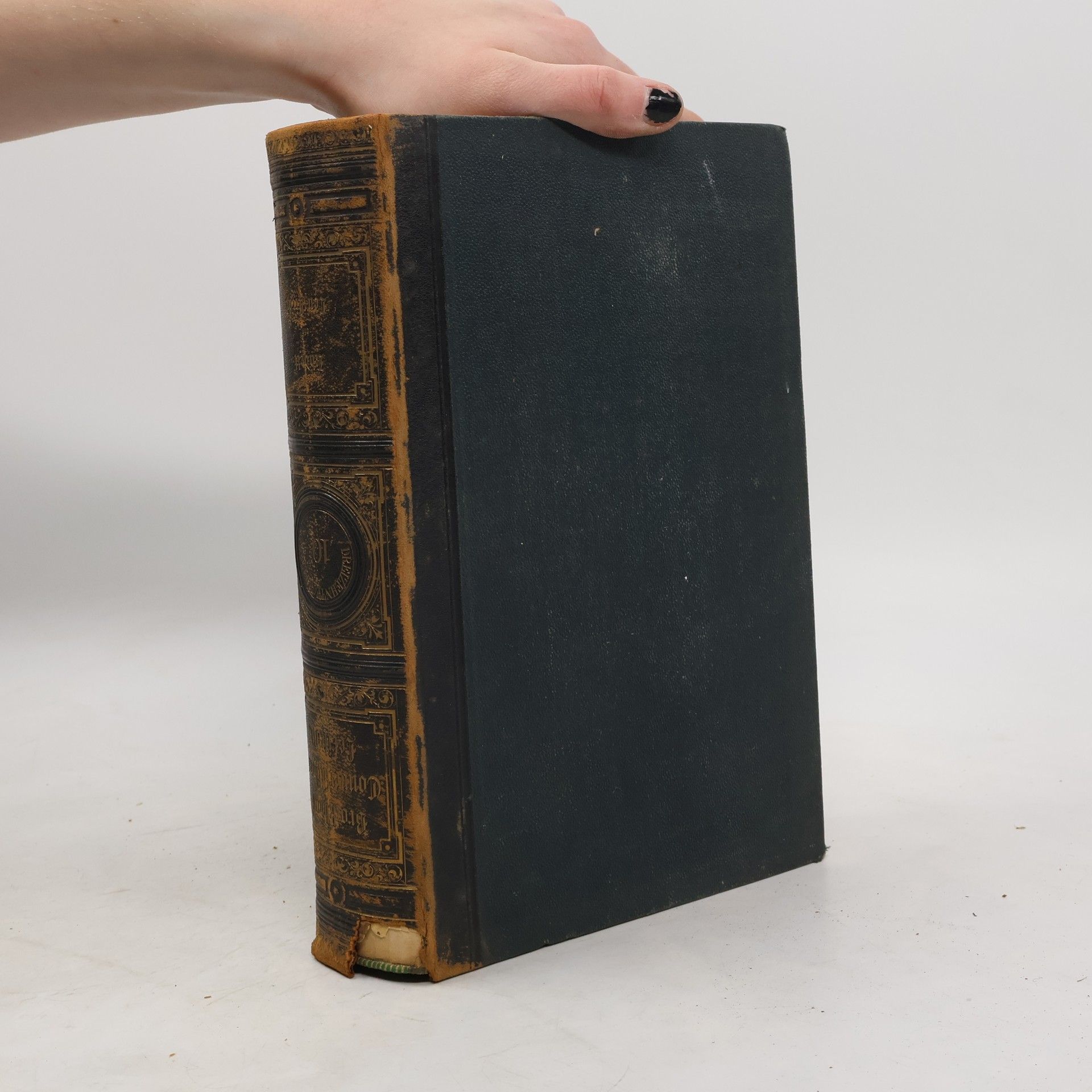 Auteurscollectief Brockhaus Conversations-Lexikon 10