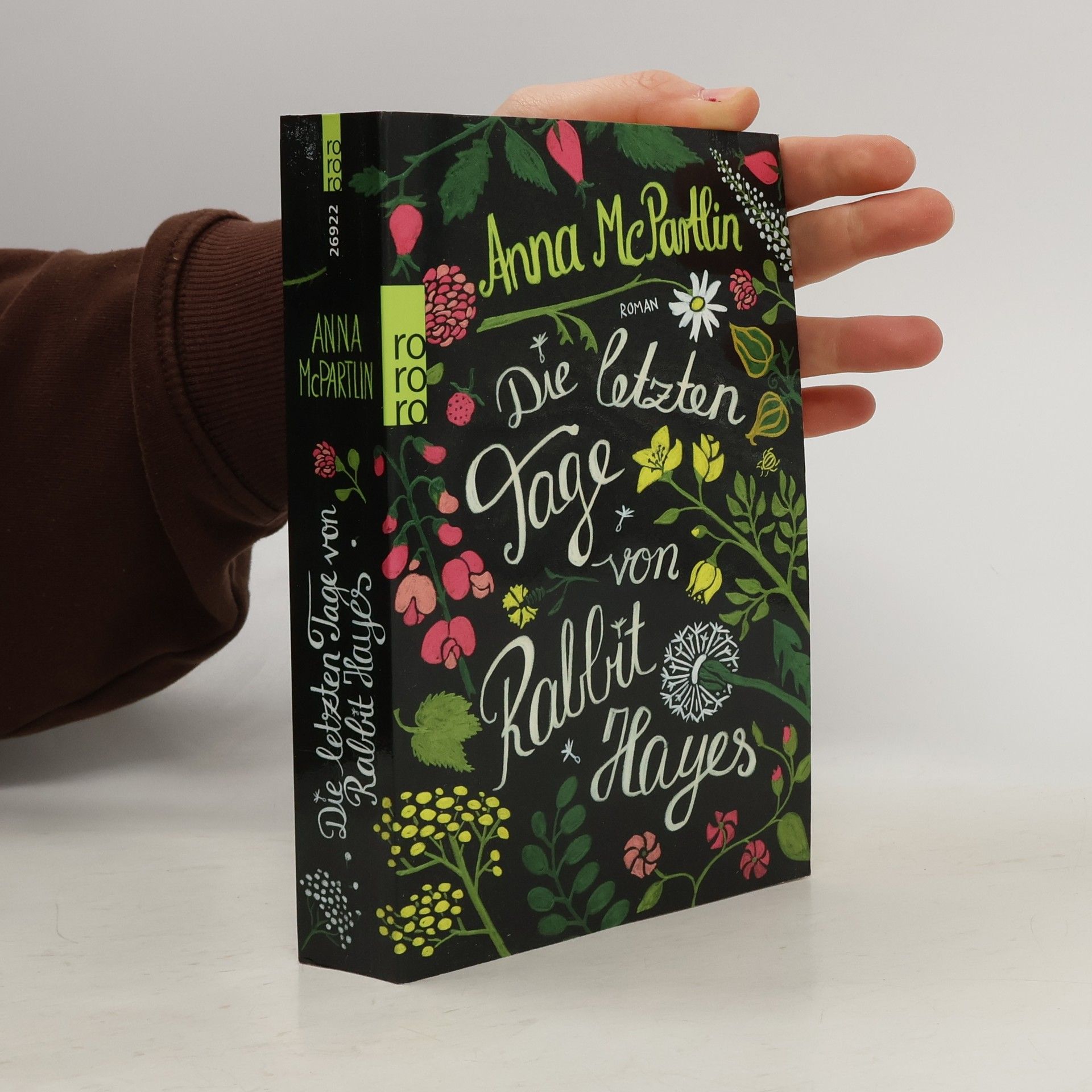 Anna Mc Partlin Die letzten Tage von Rabbit Hayes
