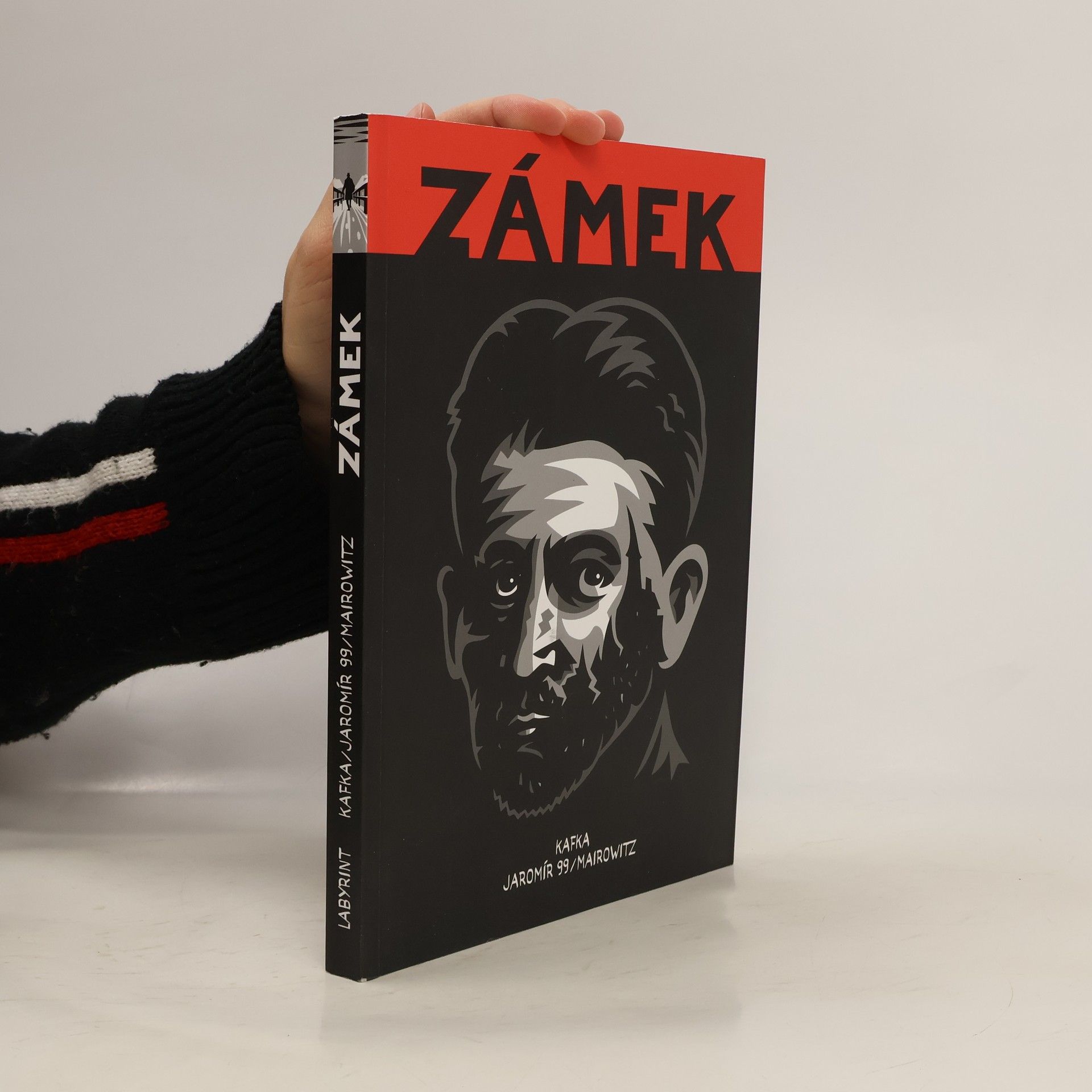 David Zane Mairowitz Zámek