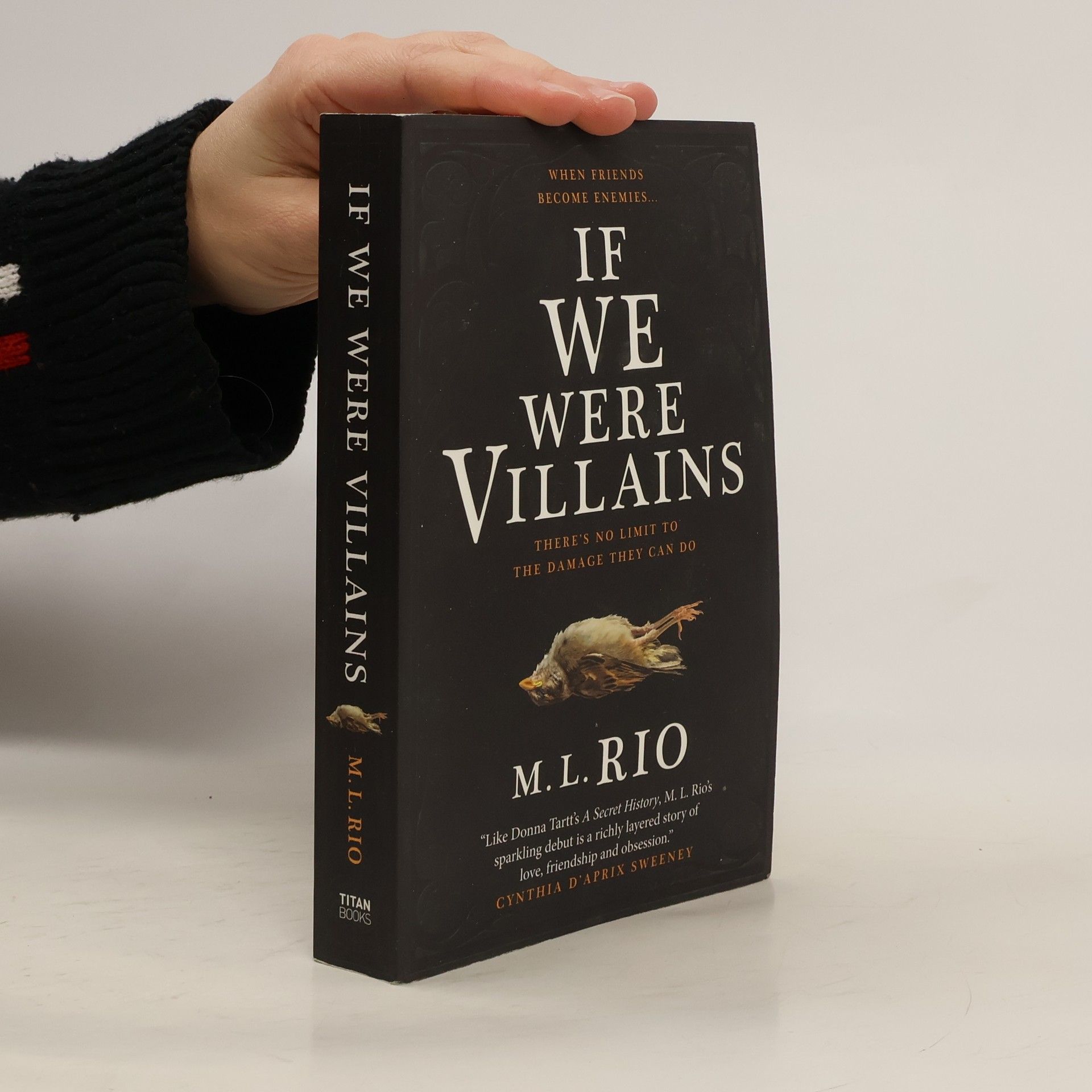 M. L. Rio If We Were Villains