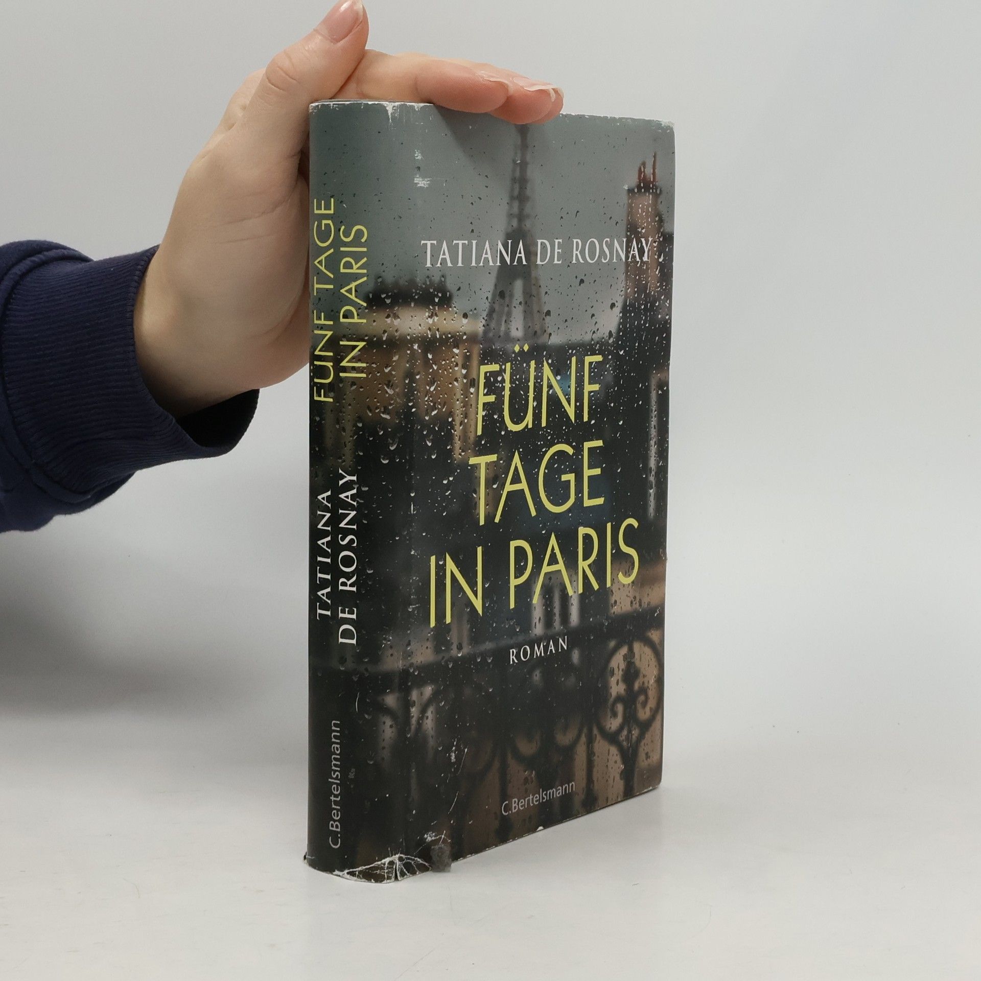 Tatiana de Rosnay Fünf Tage in Paris