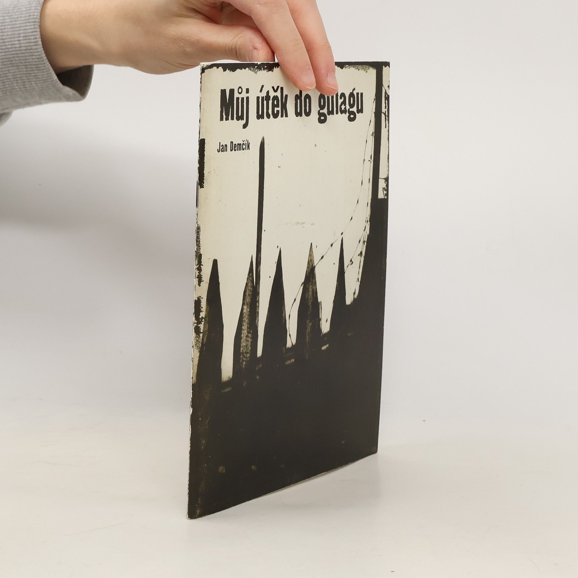 Můj útěk do gulagu