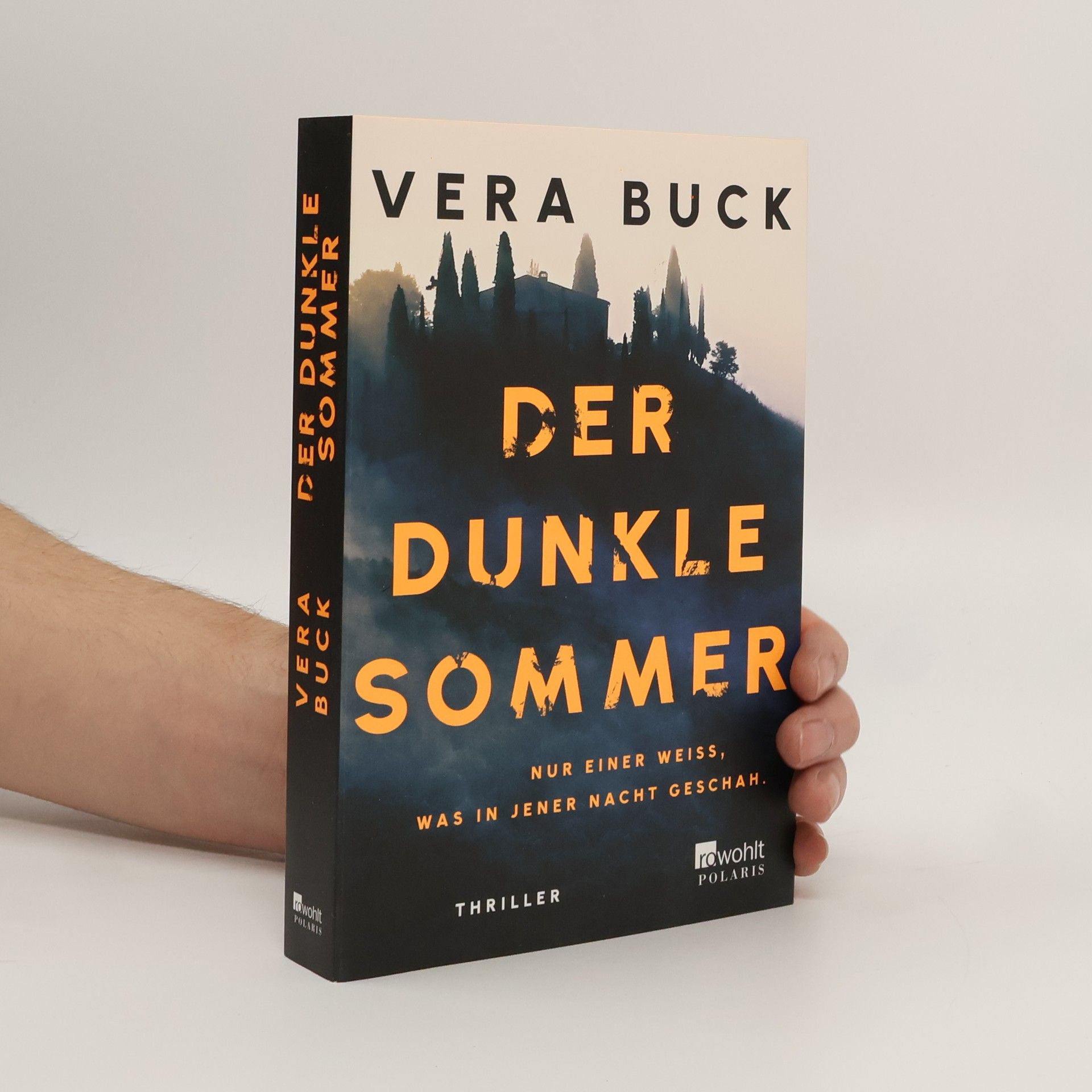 Vera Buck Der dunkle Sommer