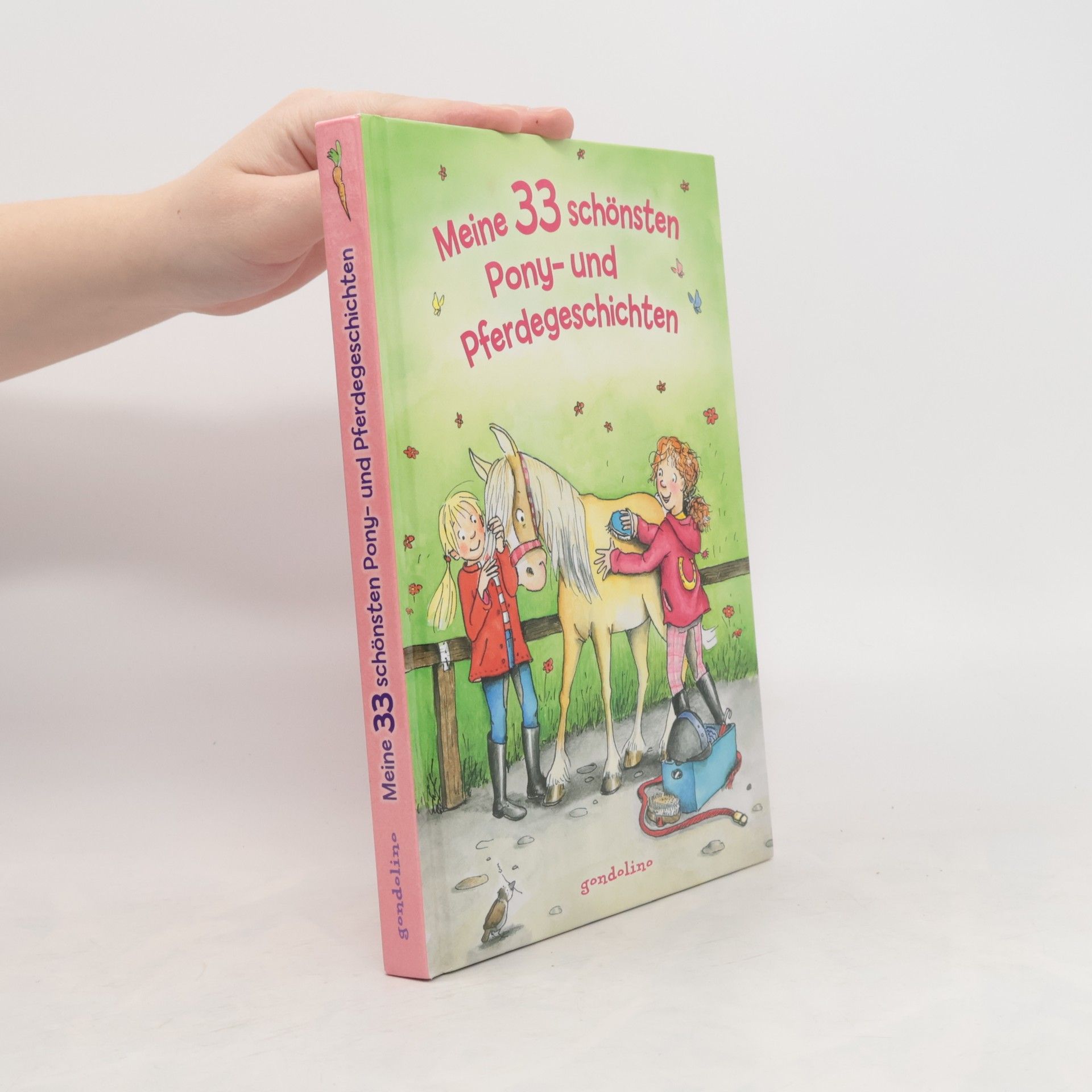 Kolektiv autorů Meine 33 schönsten Pony- und Pferdegeschichten