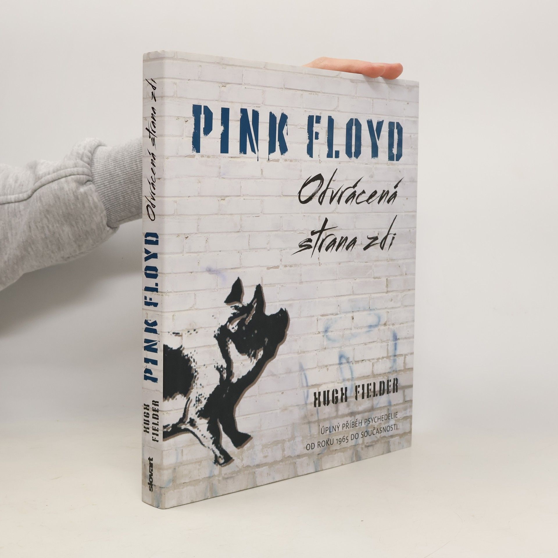 Pink Floyd : odvrácená strana zdi : úplný příběh psychedelie od roku 1965 do současnosti