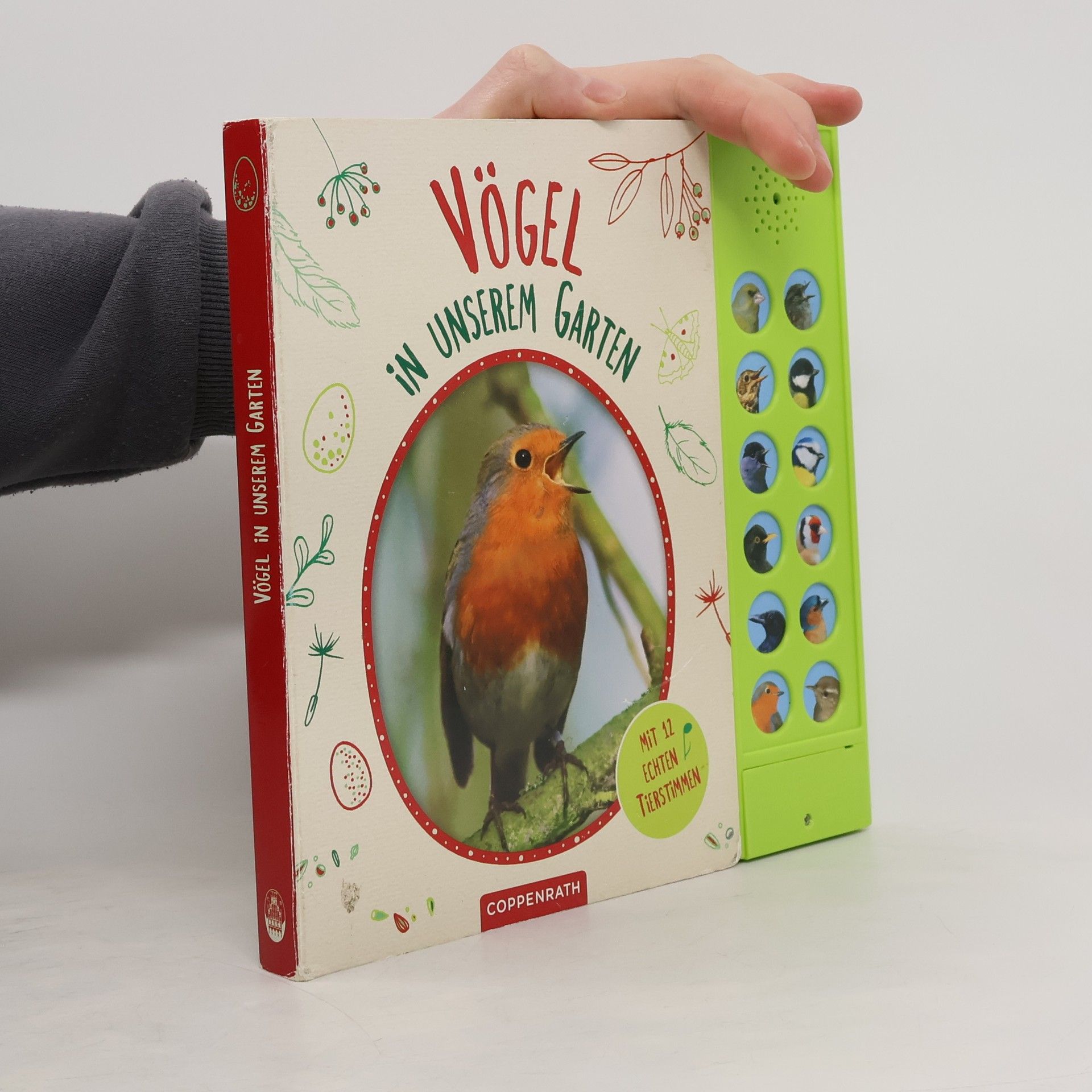 Holger Haag Vögel in unserem Garten