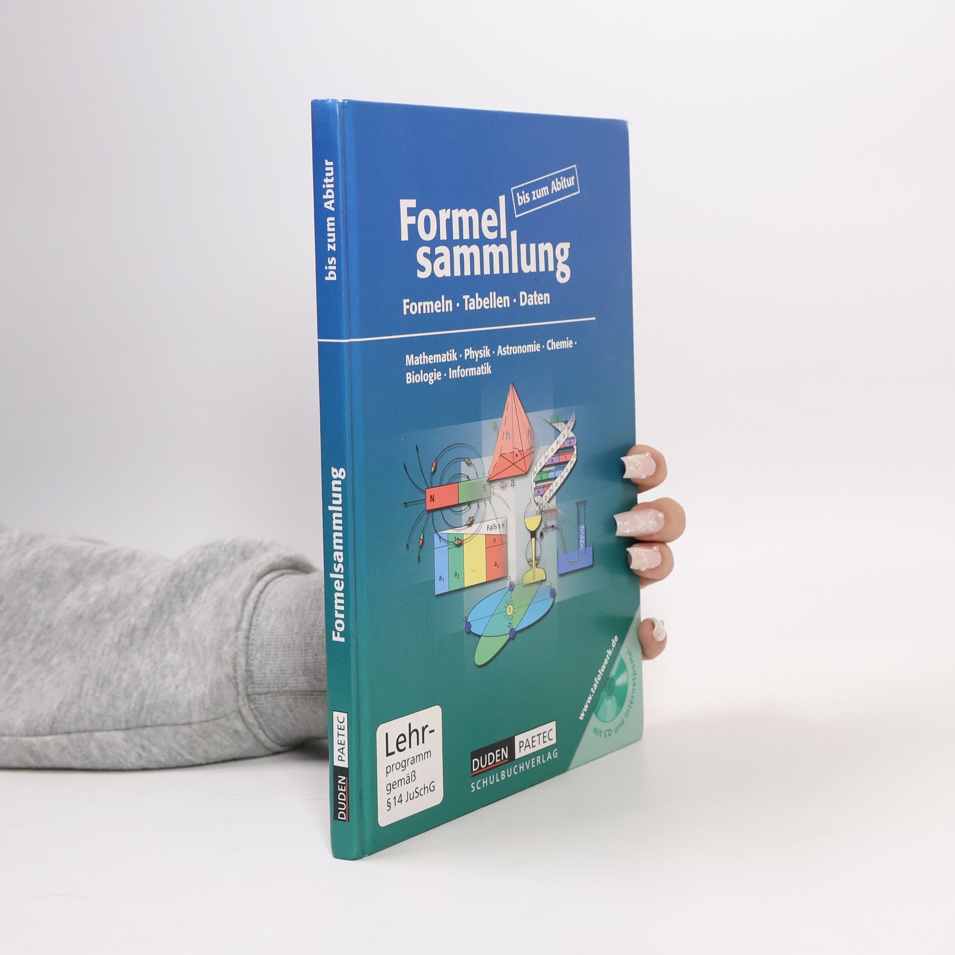 Kolektiv autorů Formelsammlung