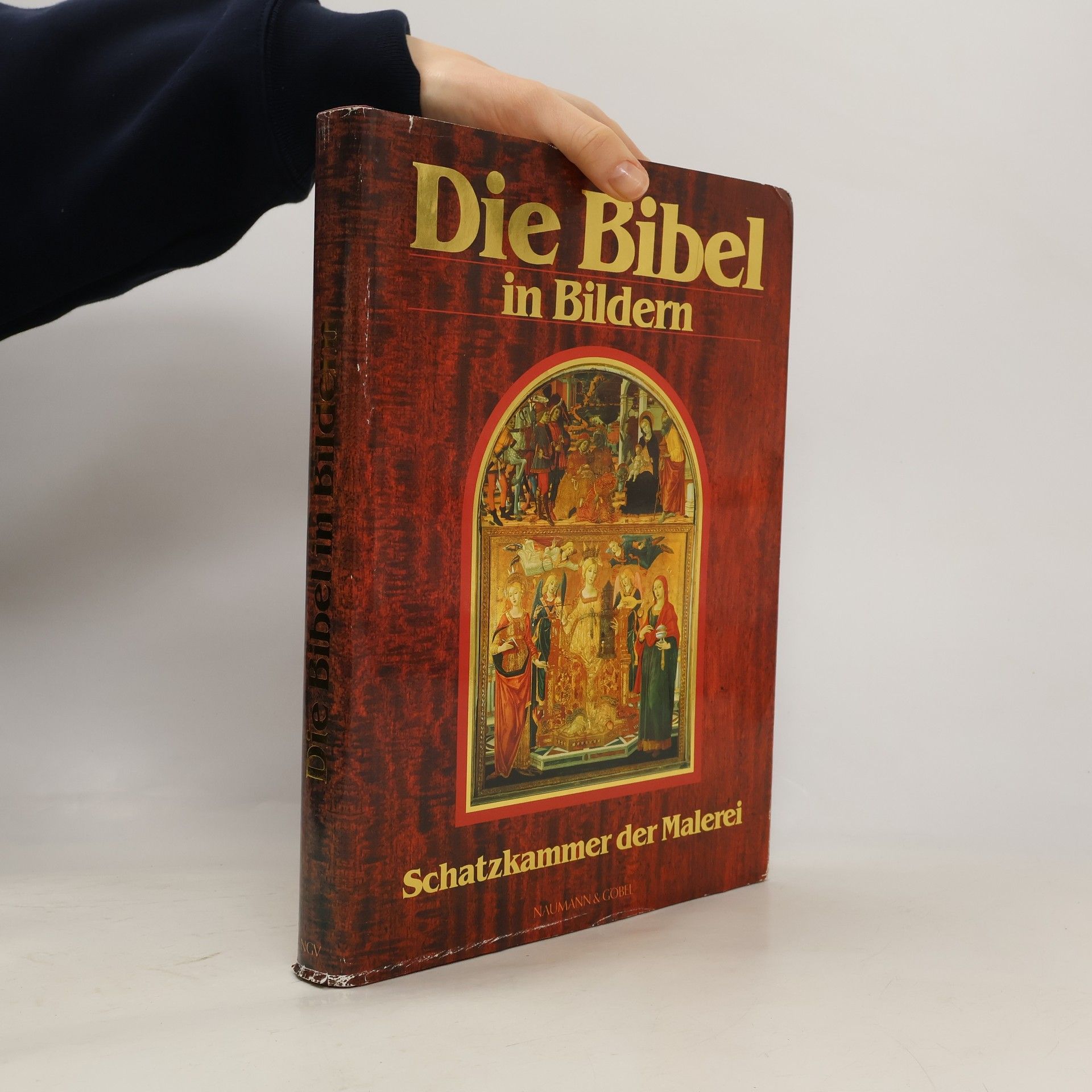 Autorenkollektiv Die Bibel in Bildern. Schatzkammer der Malerei