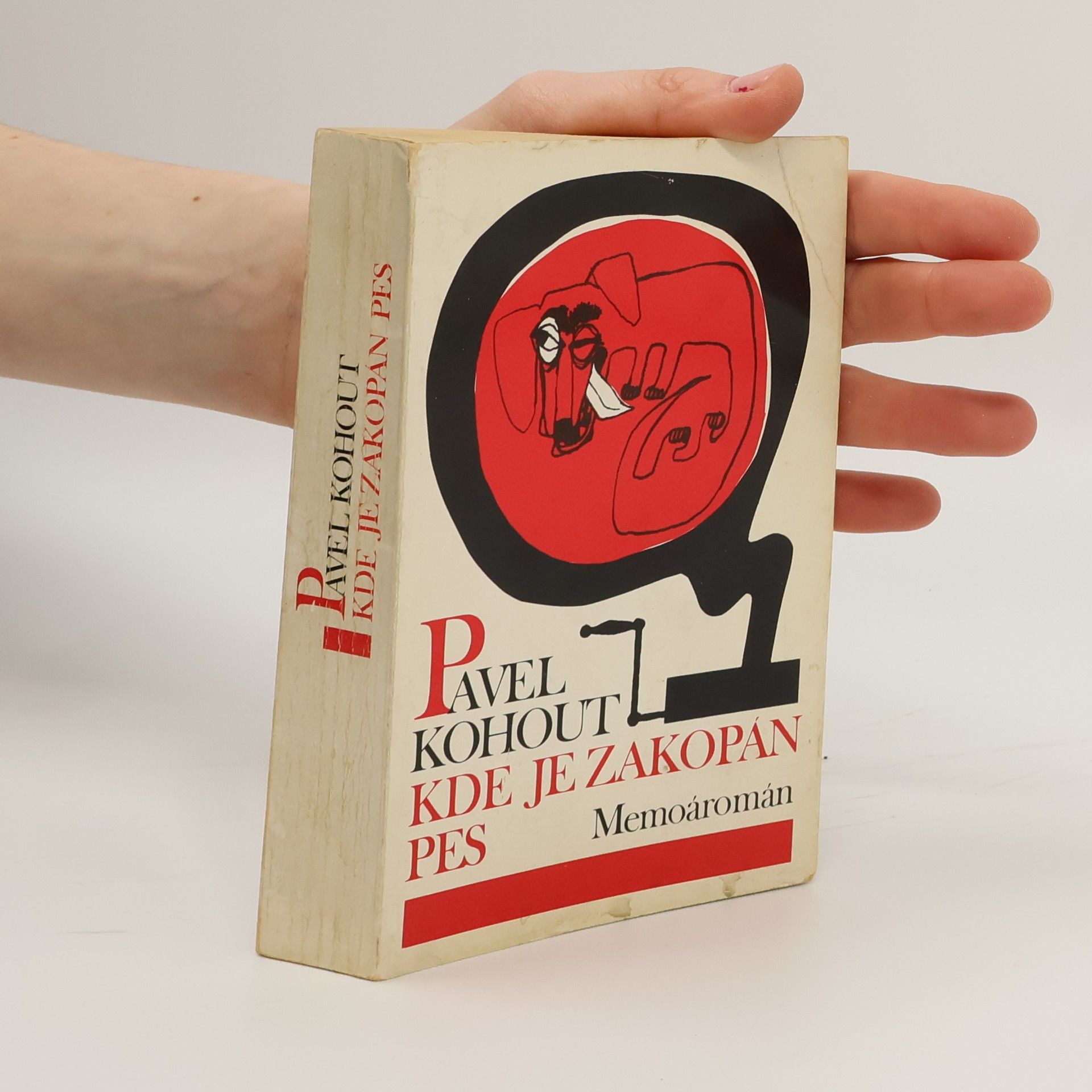 Pavel Kohout Kde je zakopán pes