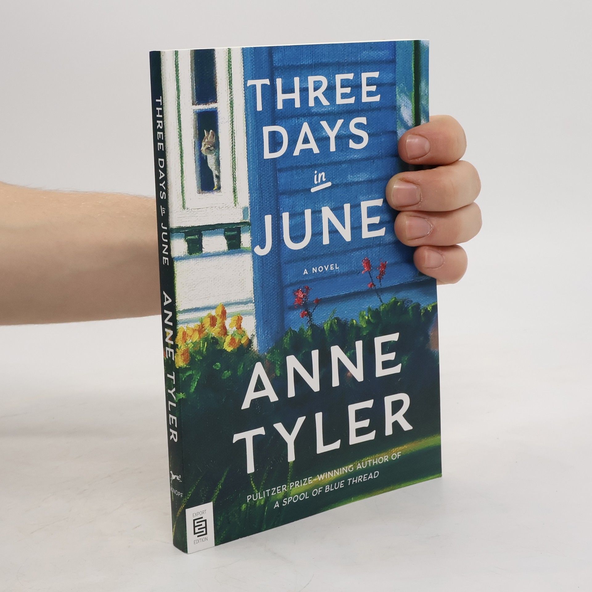 Anne Tyler Three Days in June: A Novel - Export Edition