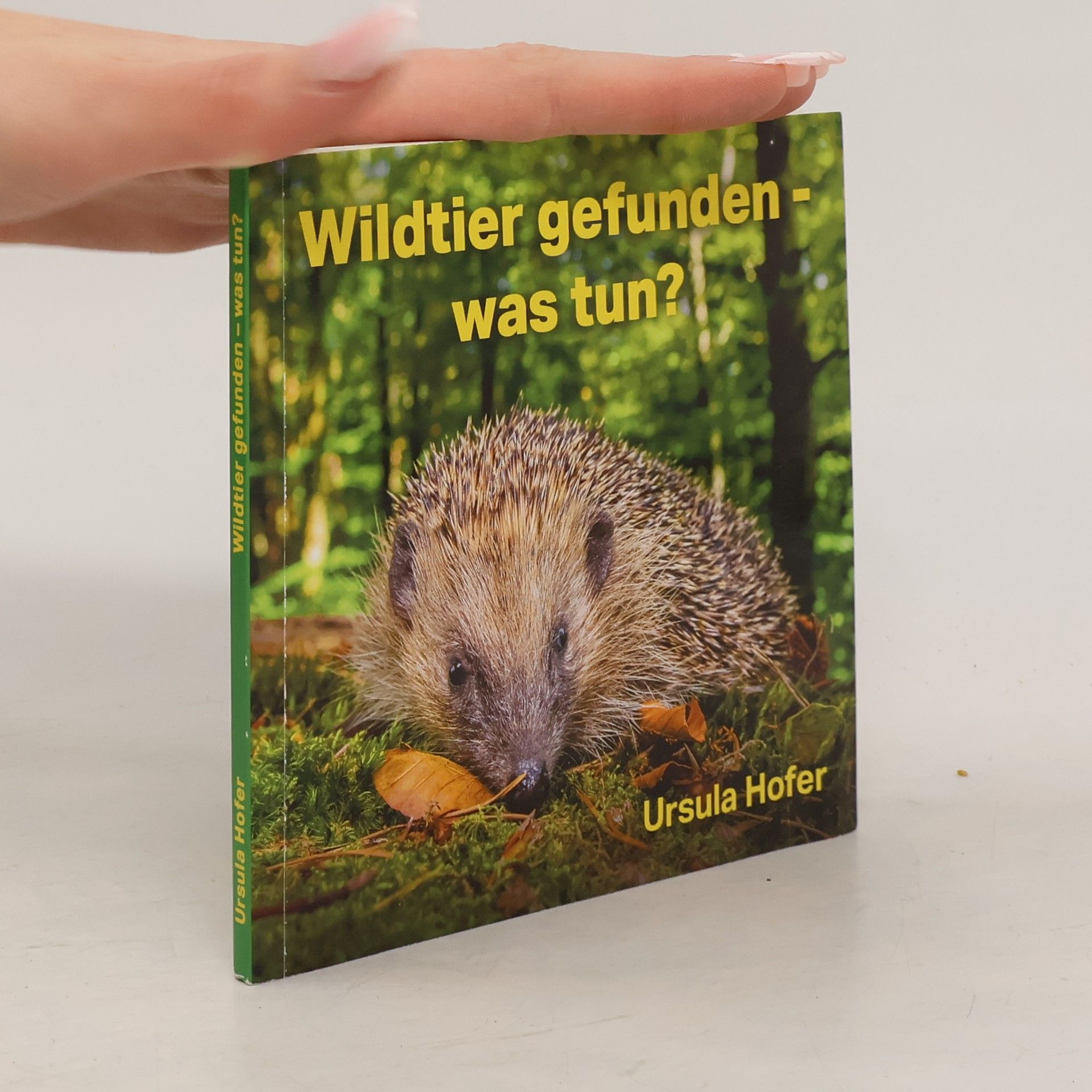 Wildtier gefunden - was tun?