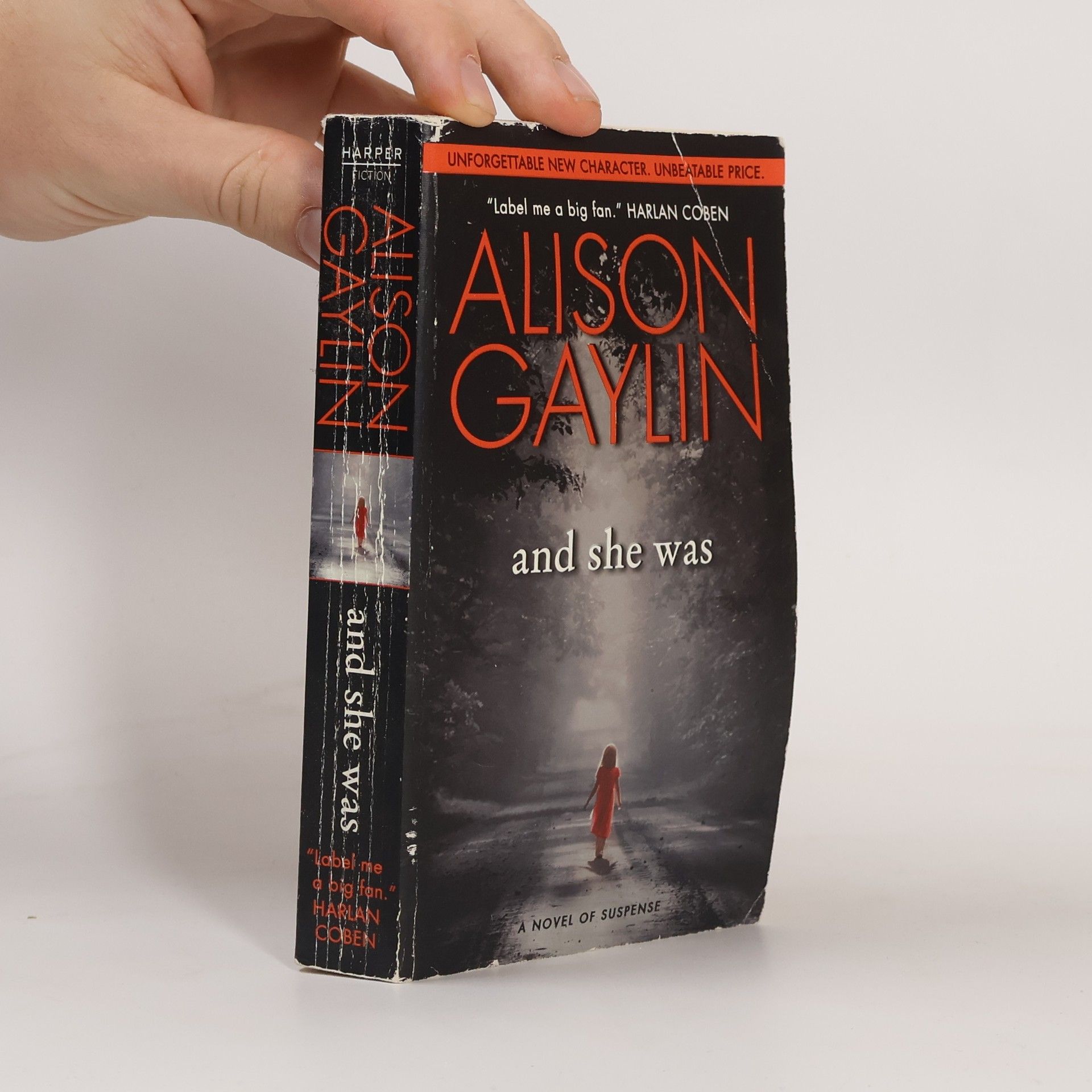 Alison Gaylin And She Was