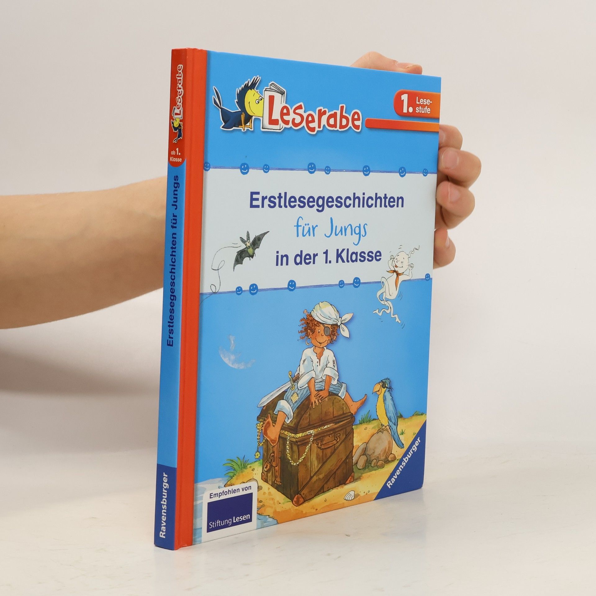 Silke Voigt Erstlesegeschichten für Jungs in der 1. Klasse