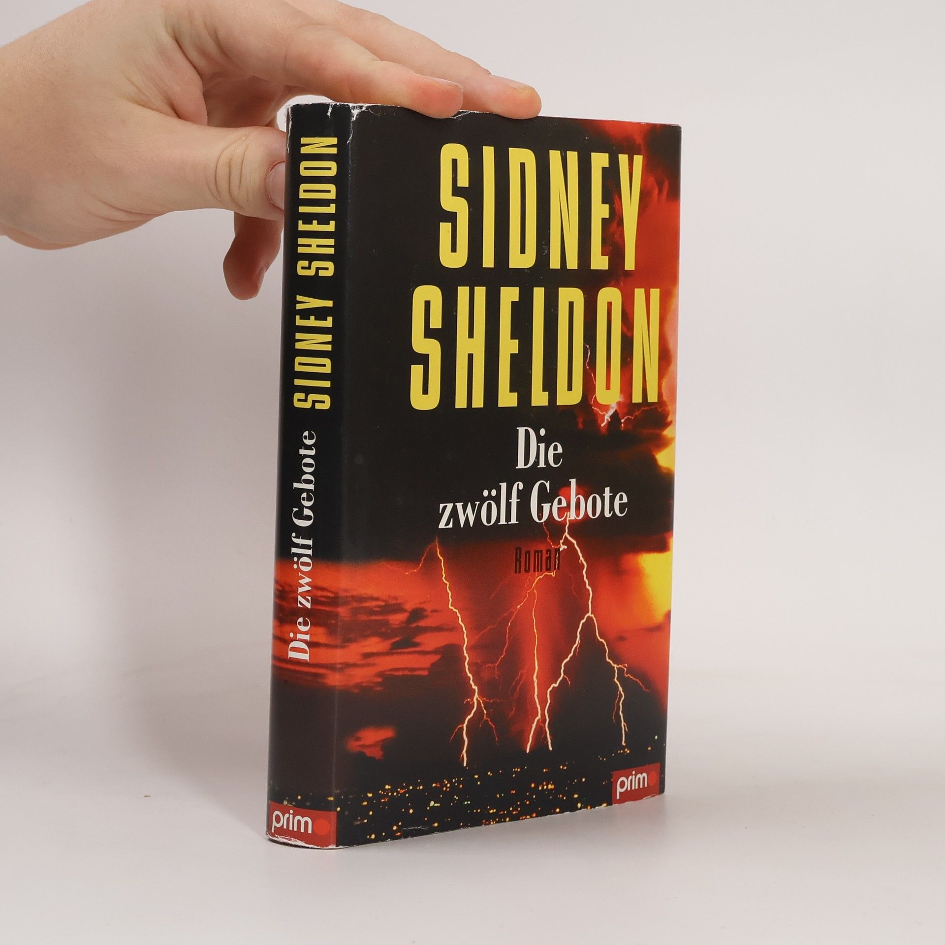 Sidney Sheldon Die Zwölf Gebote
