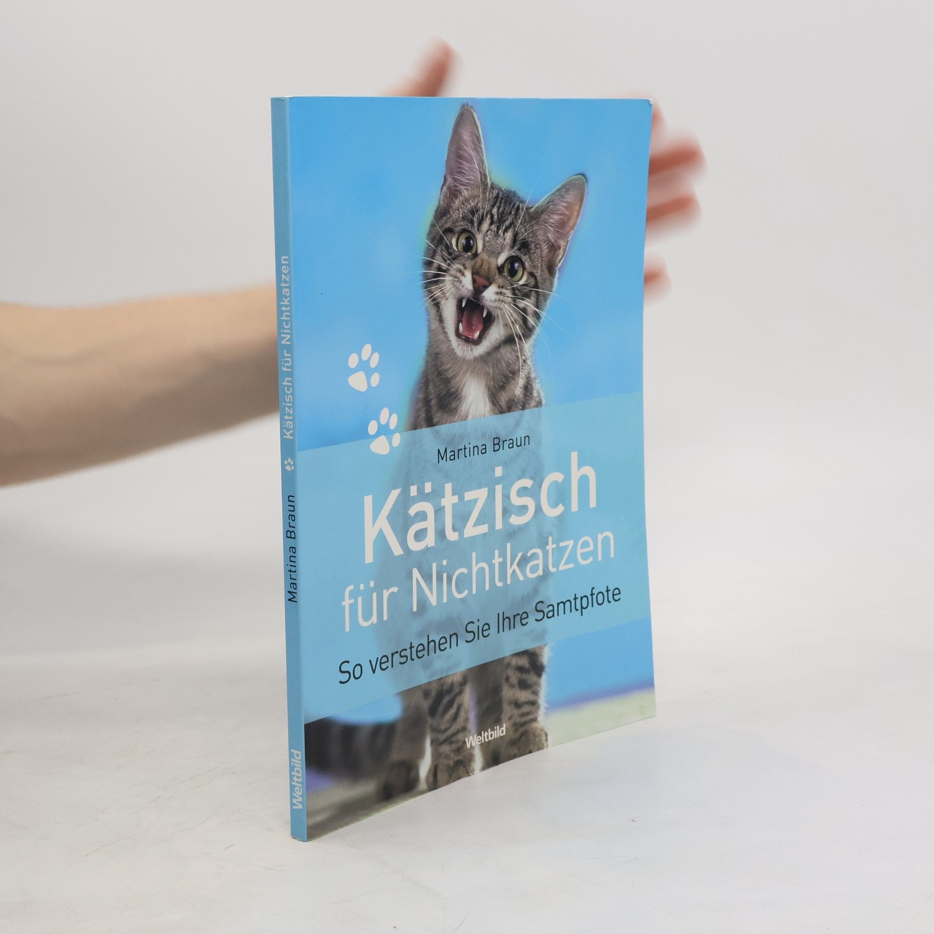 Martina Braun Kätzisch für Nichtkatzen