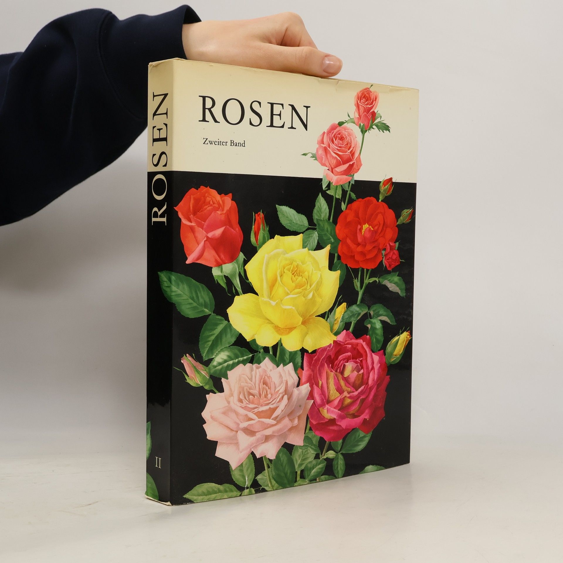 Auteurscollectief Rosen II