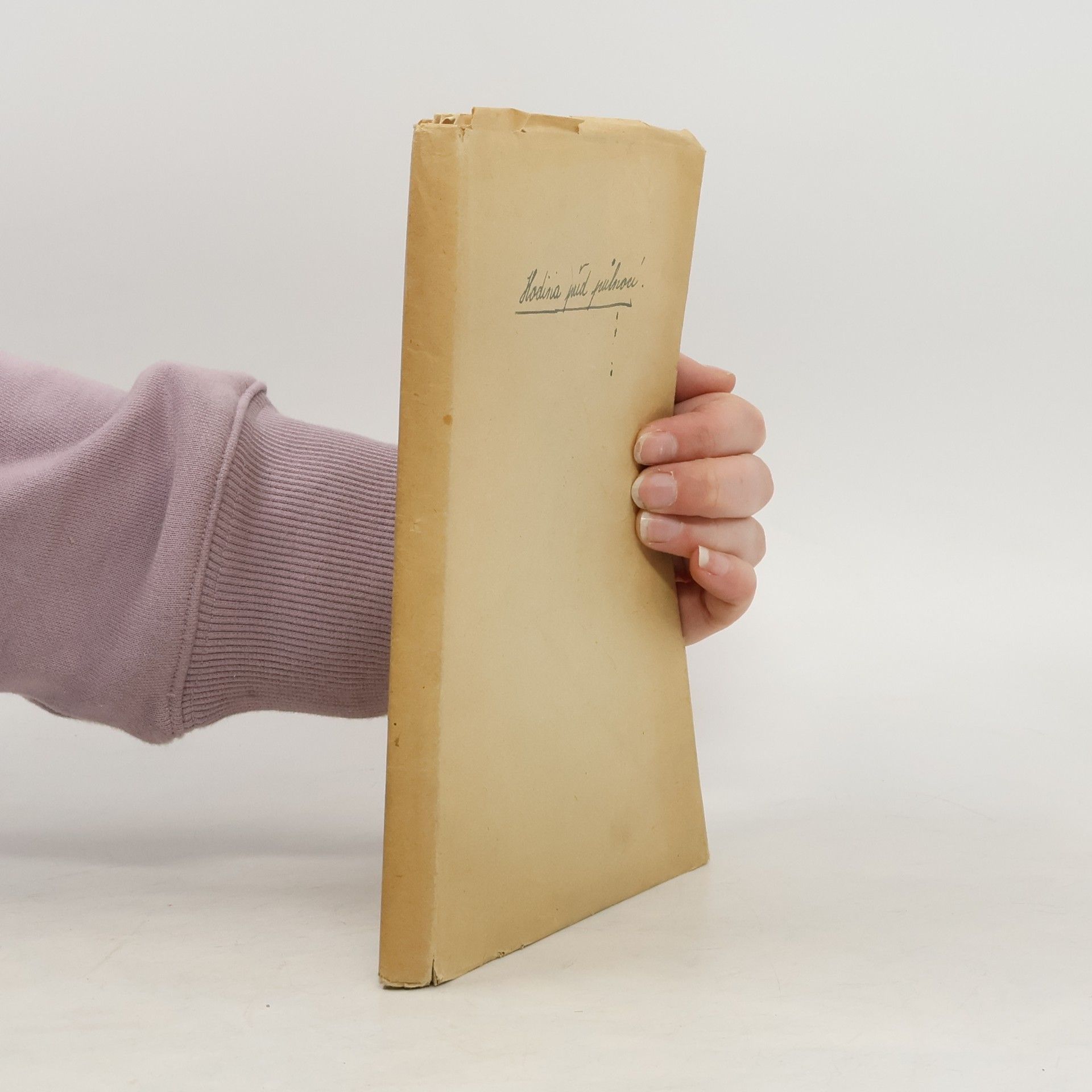 Marie Holková Hodina před půlnocí