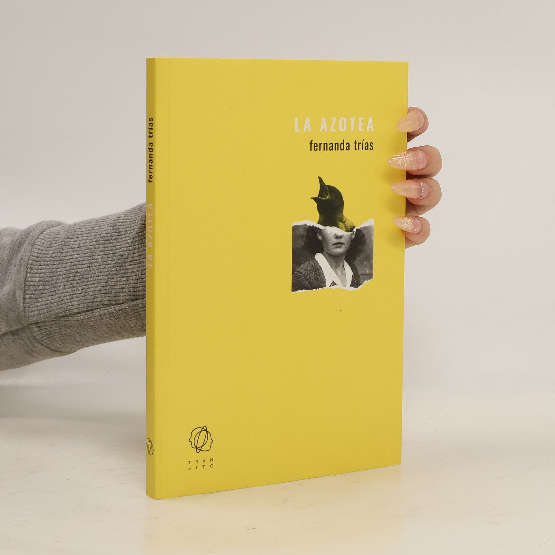 Fernanda Patrón Trías La azotea