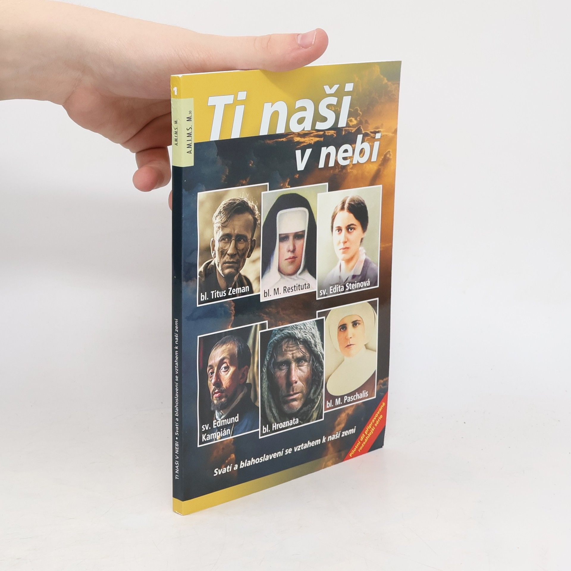 Autorenkollektiv Ti naši v nebi