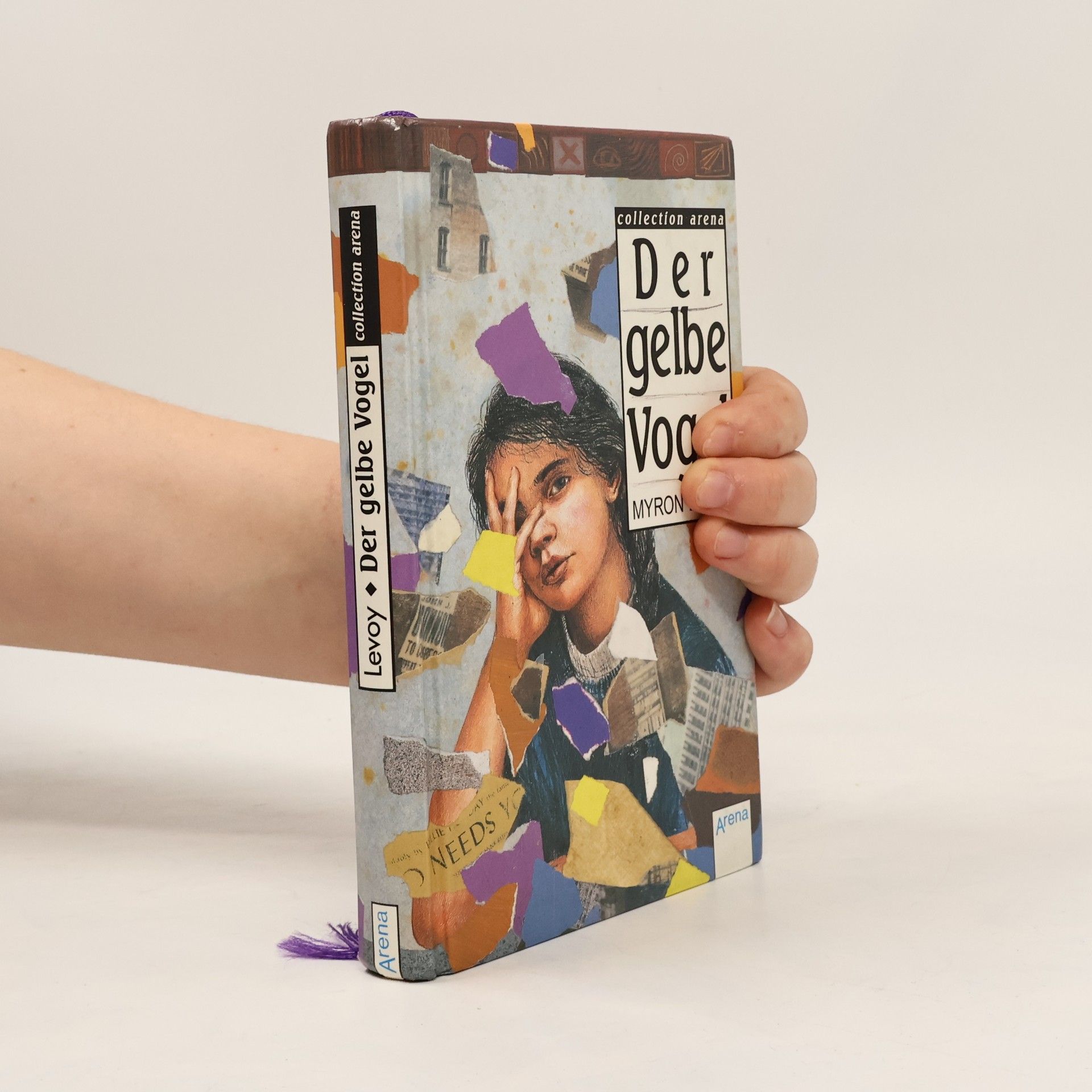 Myron Levoy Der gelbe Vogel