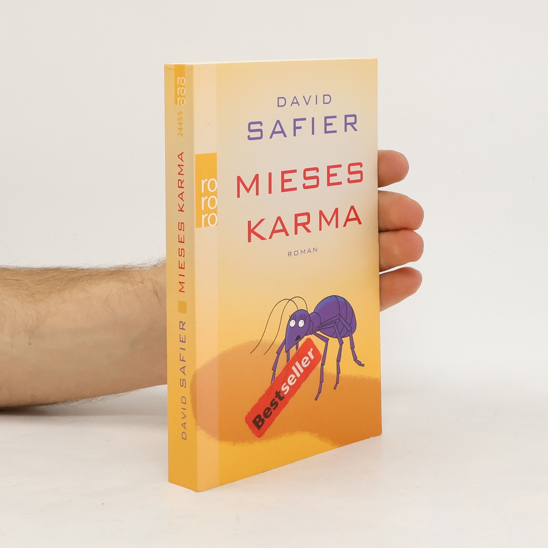 David Safier Mieses Karma