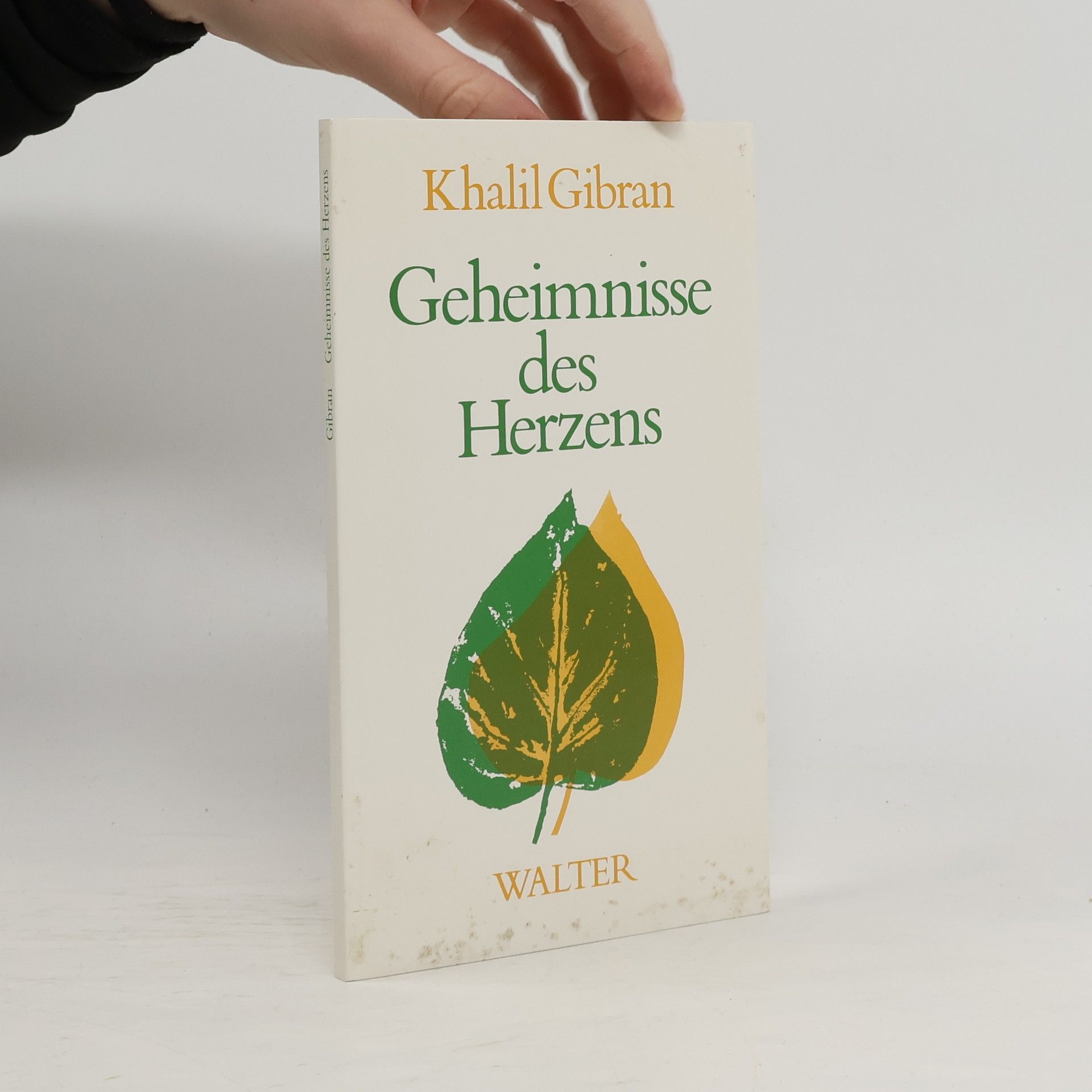 Khalil Gibran Geheimnisse des Herzens