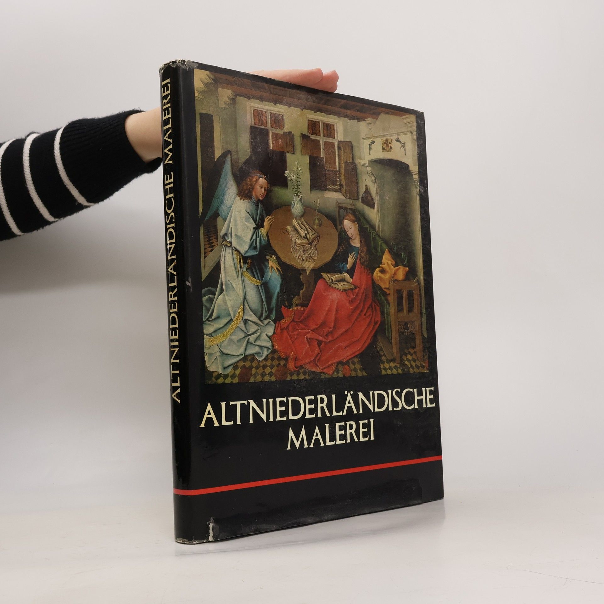 Kolektiv autorů Altniederländische Malerei