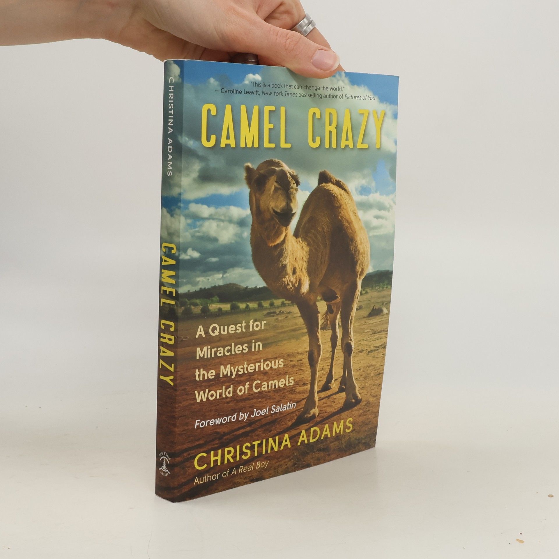 Christina Adams Camel Crazy